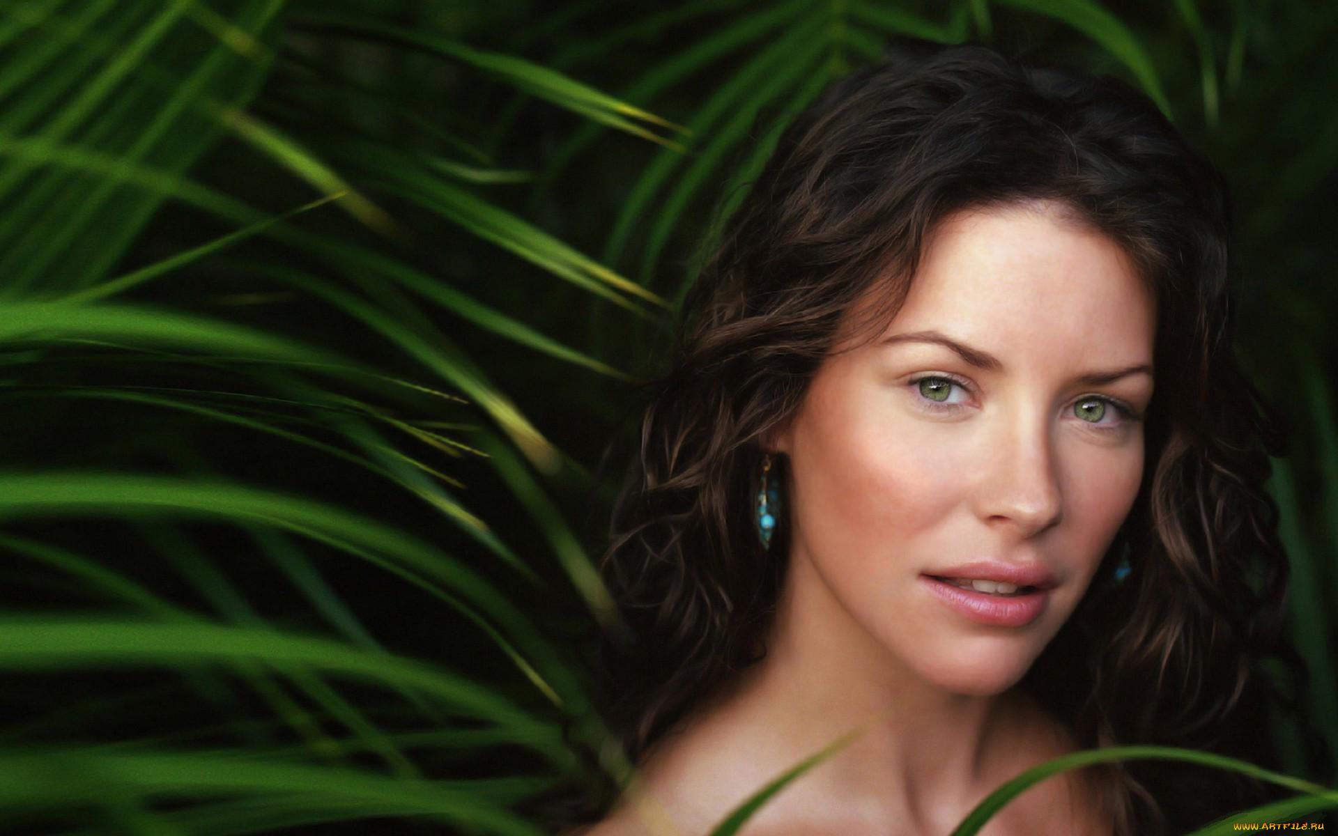 девушки, evangeline, lilly, актриса, листья, лицо