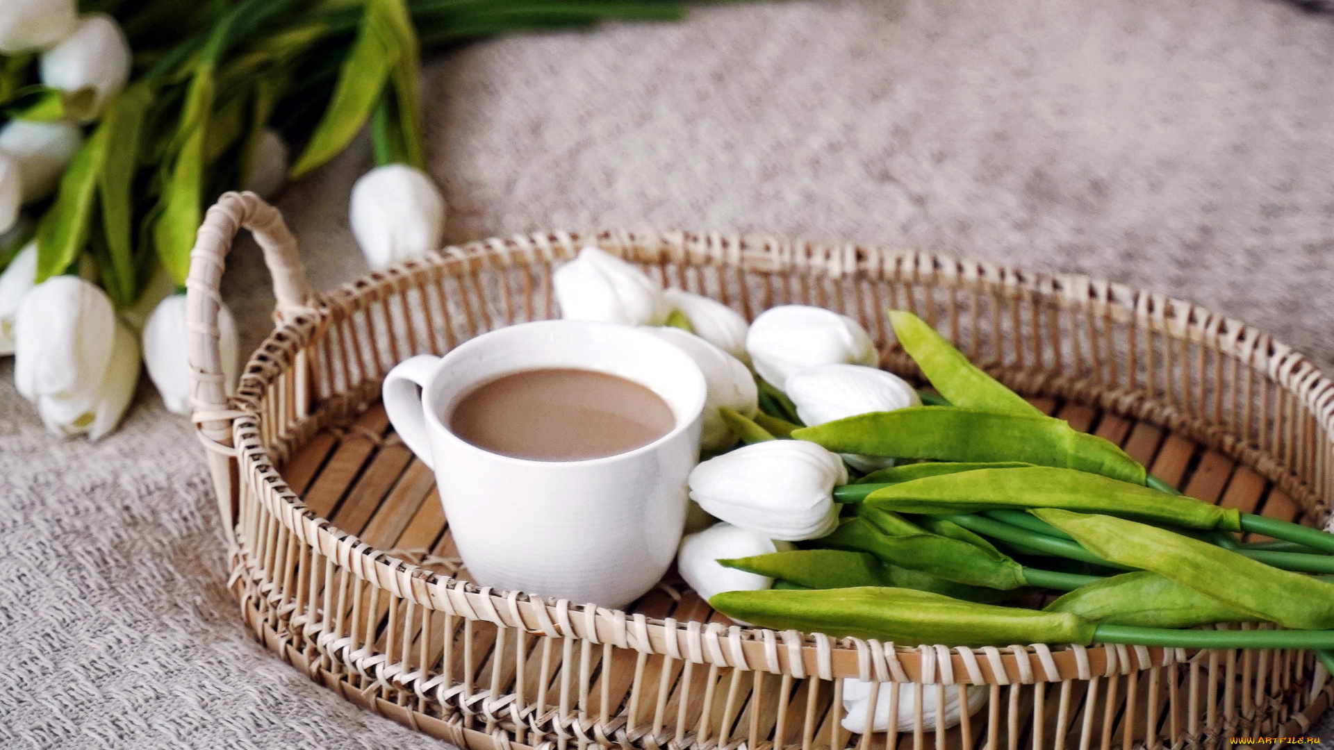 еда, кофе, , кофейные, зёрна, тюльпаны