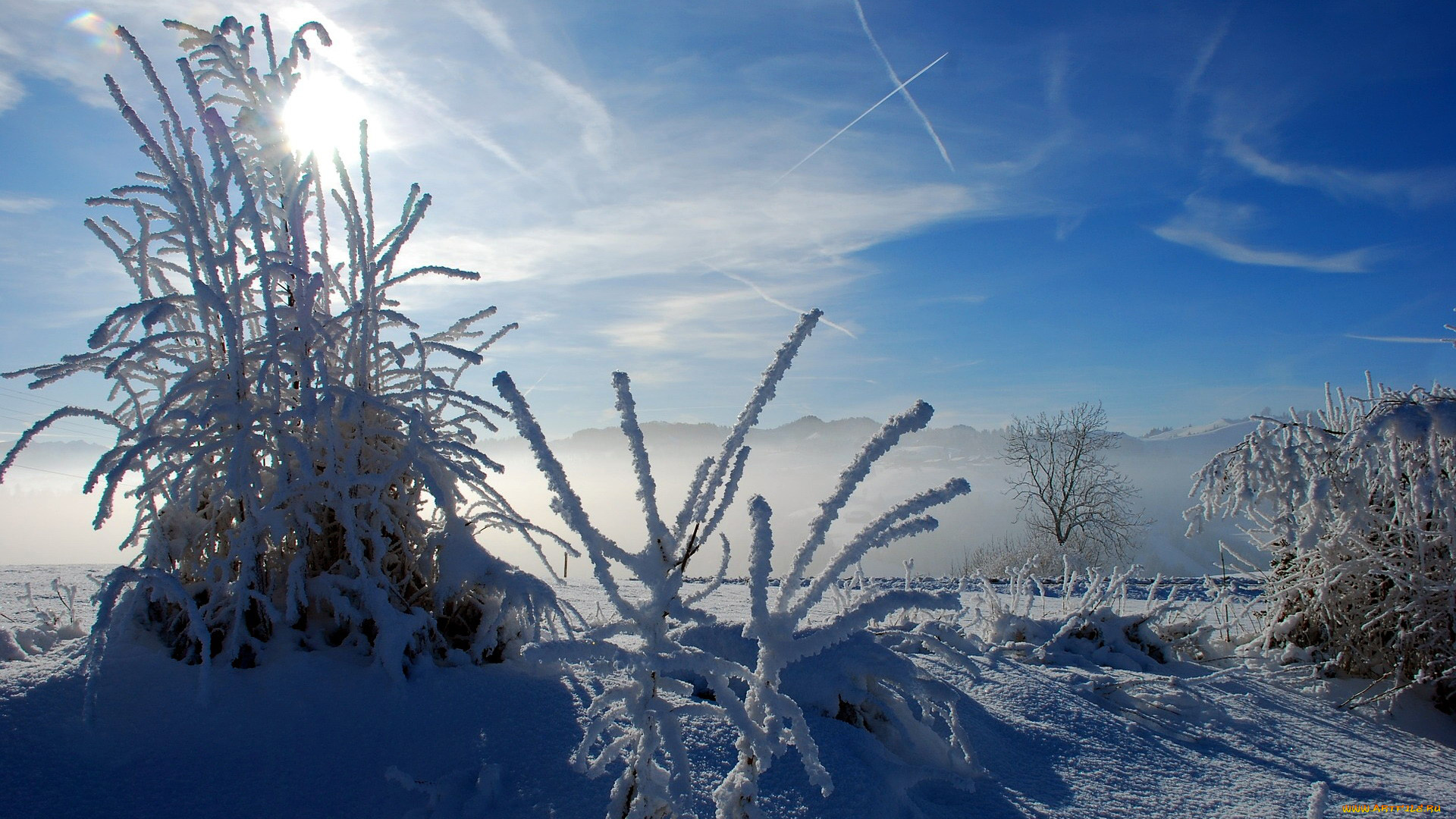 природа, зима, снег, сугробы