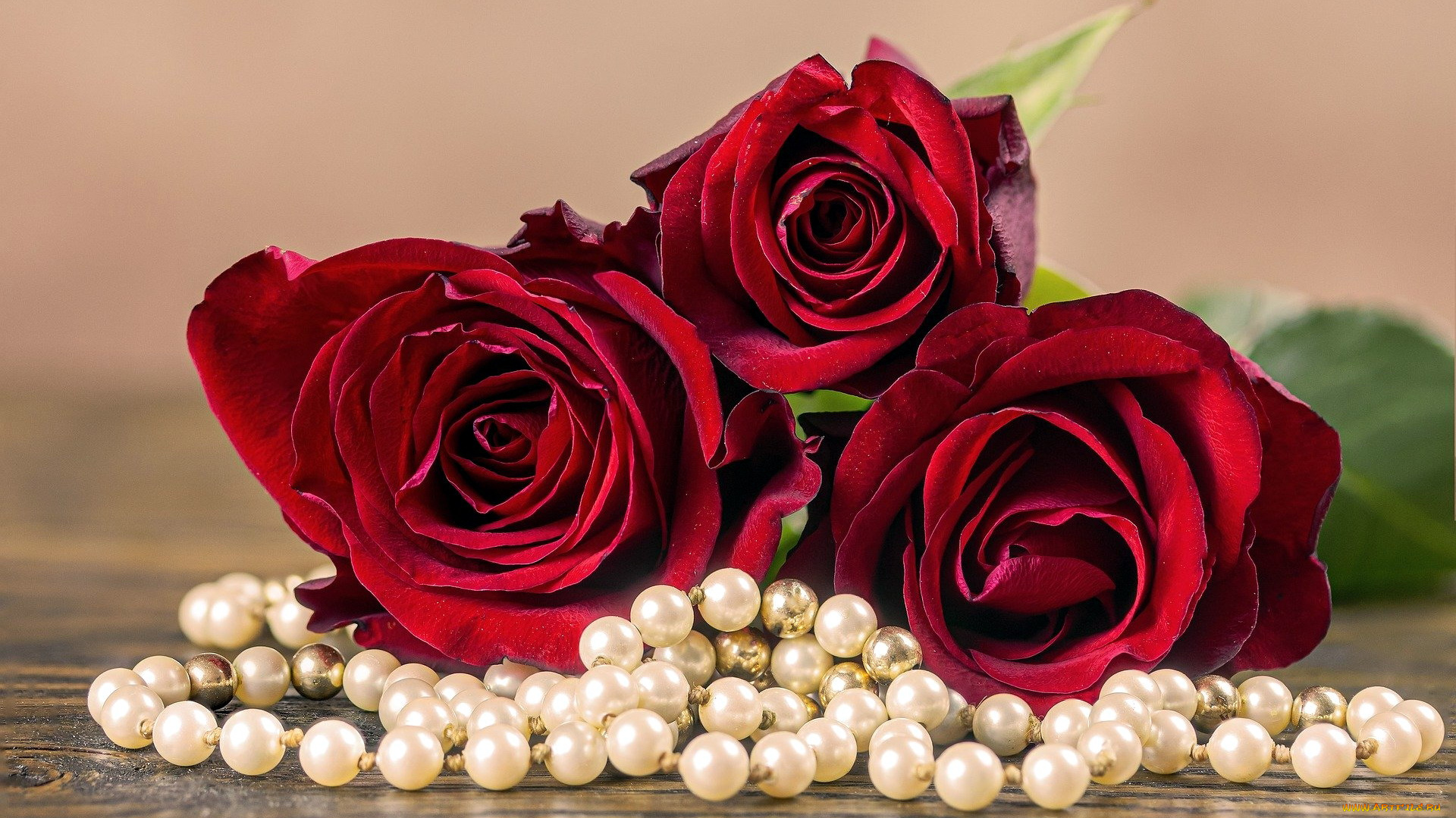 разное, украшения, , аксессуары, , веера, розы, бусы