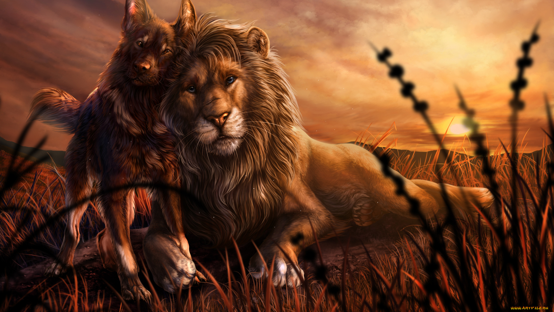 рисованное, животные, лев, собака, фон, дружба, взгляд