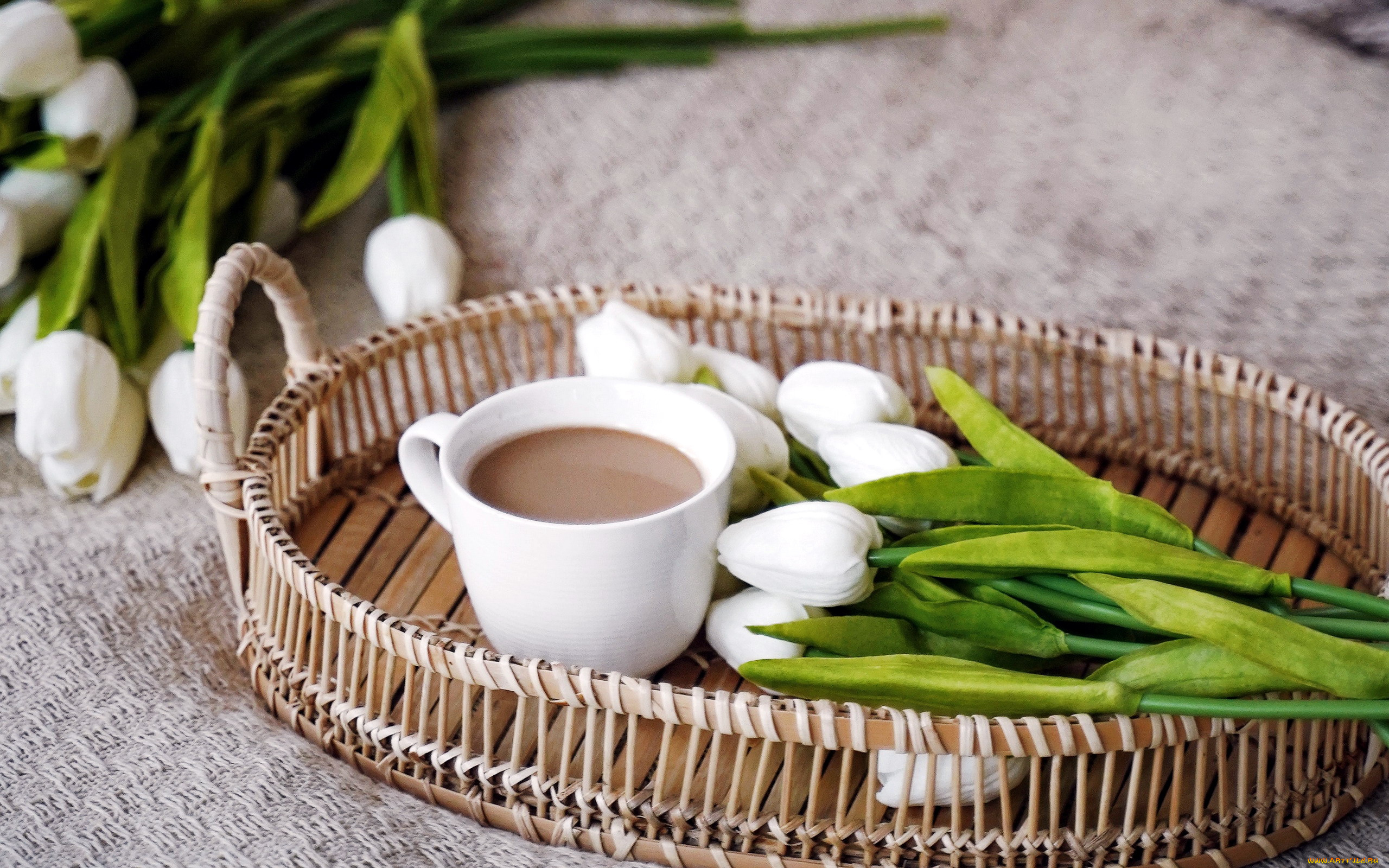 еда, кофе, , кофейные, зёрна, тюльпаны