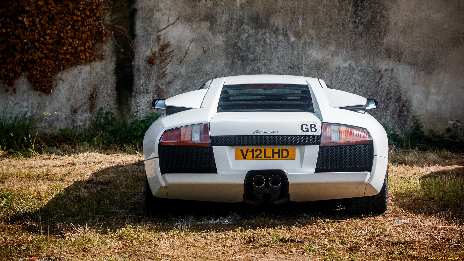 автомобили, lamborghini, murcielago