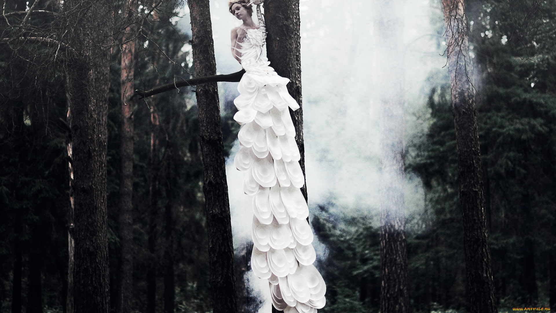 девушки, -, блондинки, , светловолосые, платье, птица, лес