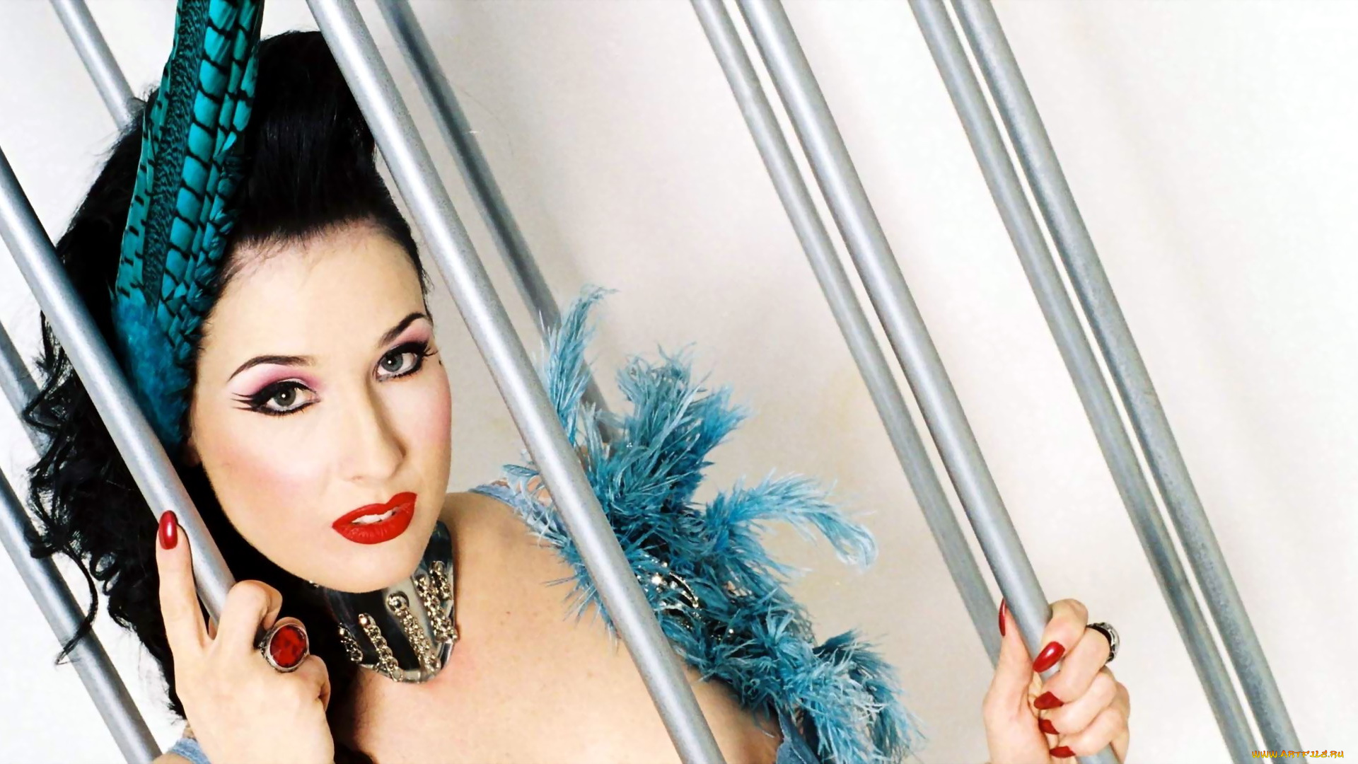 девушки, dita, von, teese, брюнетка, перья, ошейник, клетка