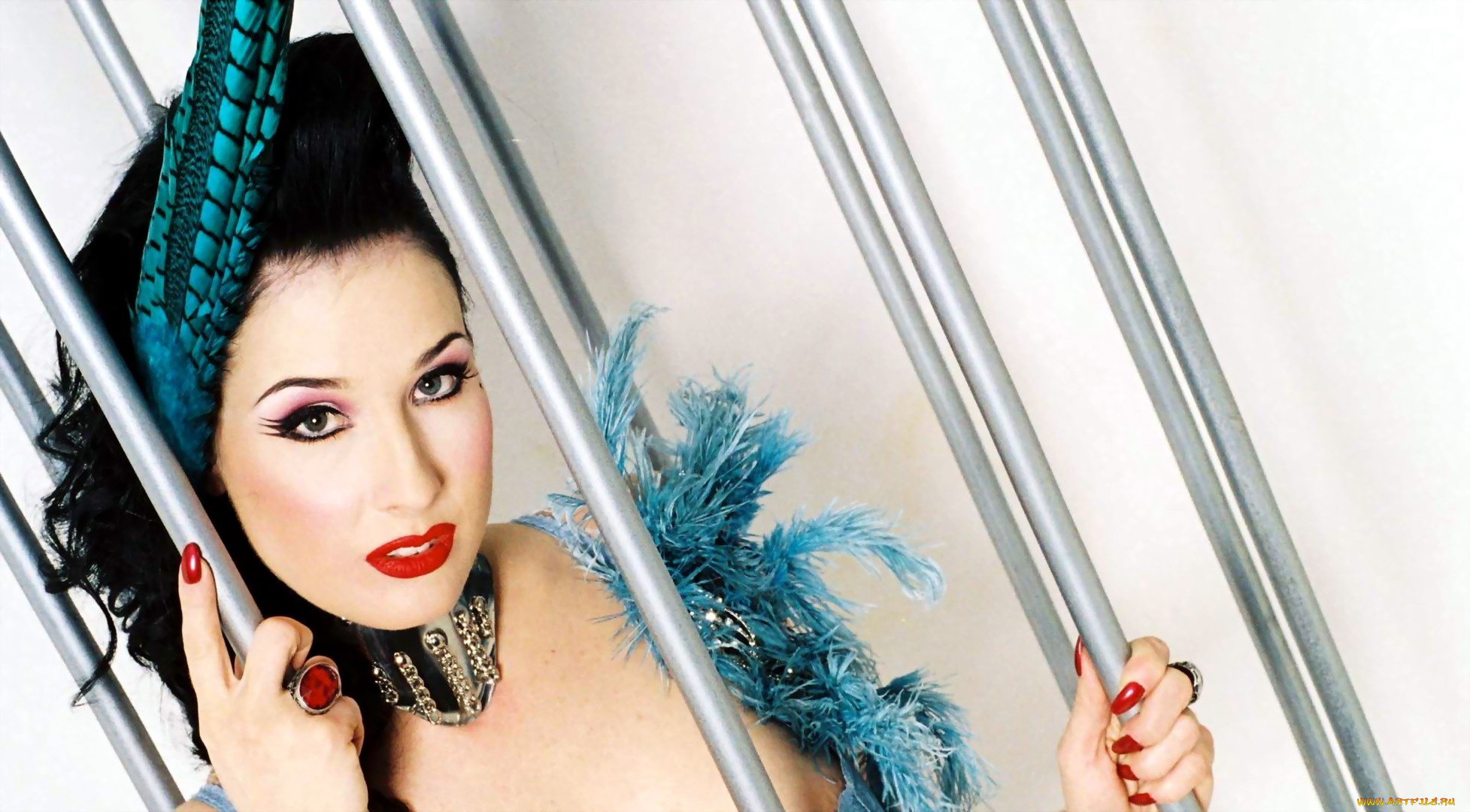 девушки, dita, von, teese, брюнетка, перья, ошейник, клетка