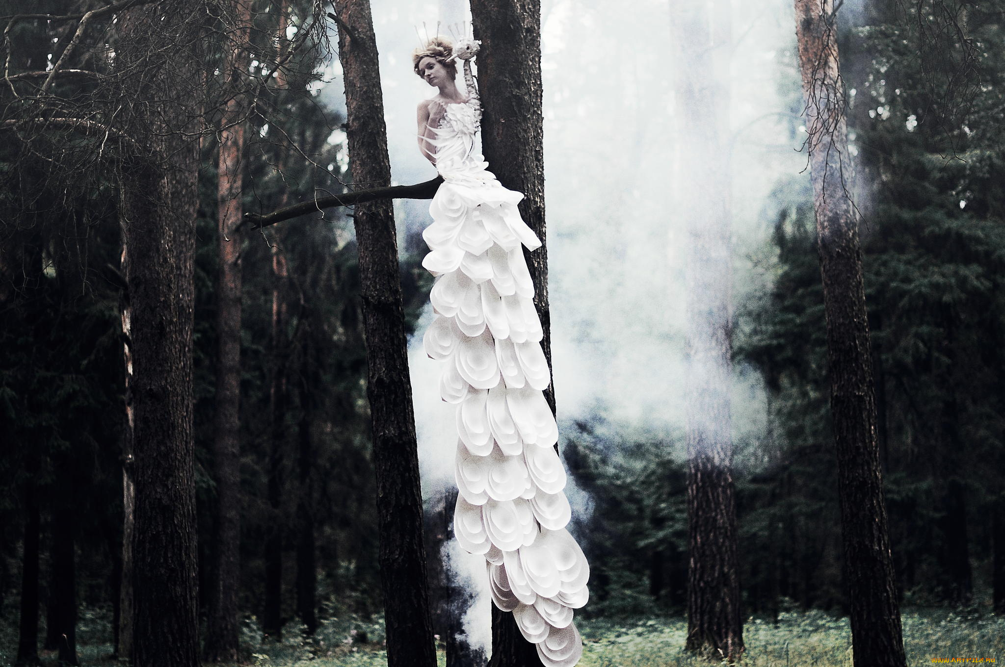 девушки, -, блондинки, , светловолосые, платье, птица, лес