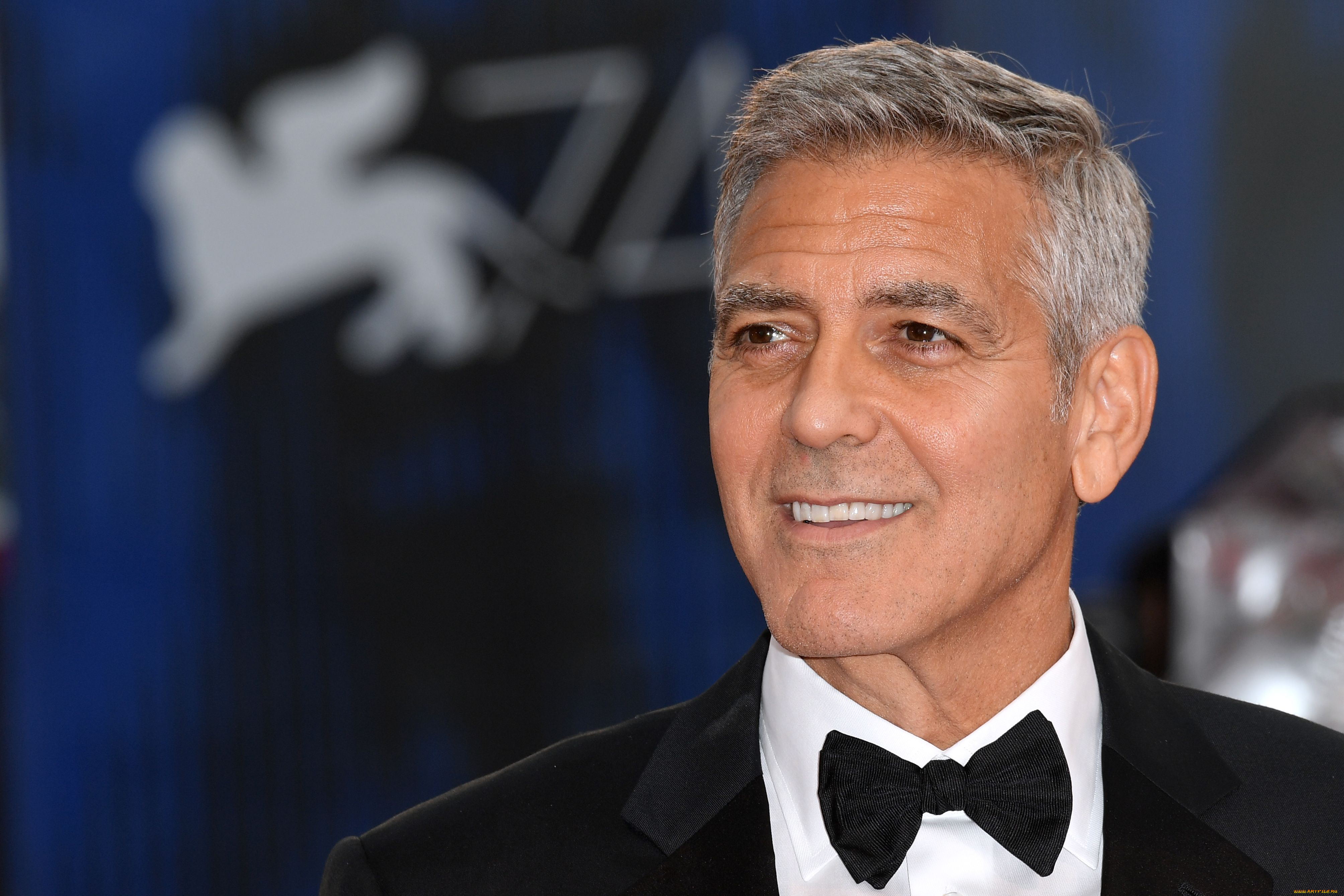мужчины, george, clooney, актер, лицо, костюм
