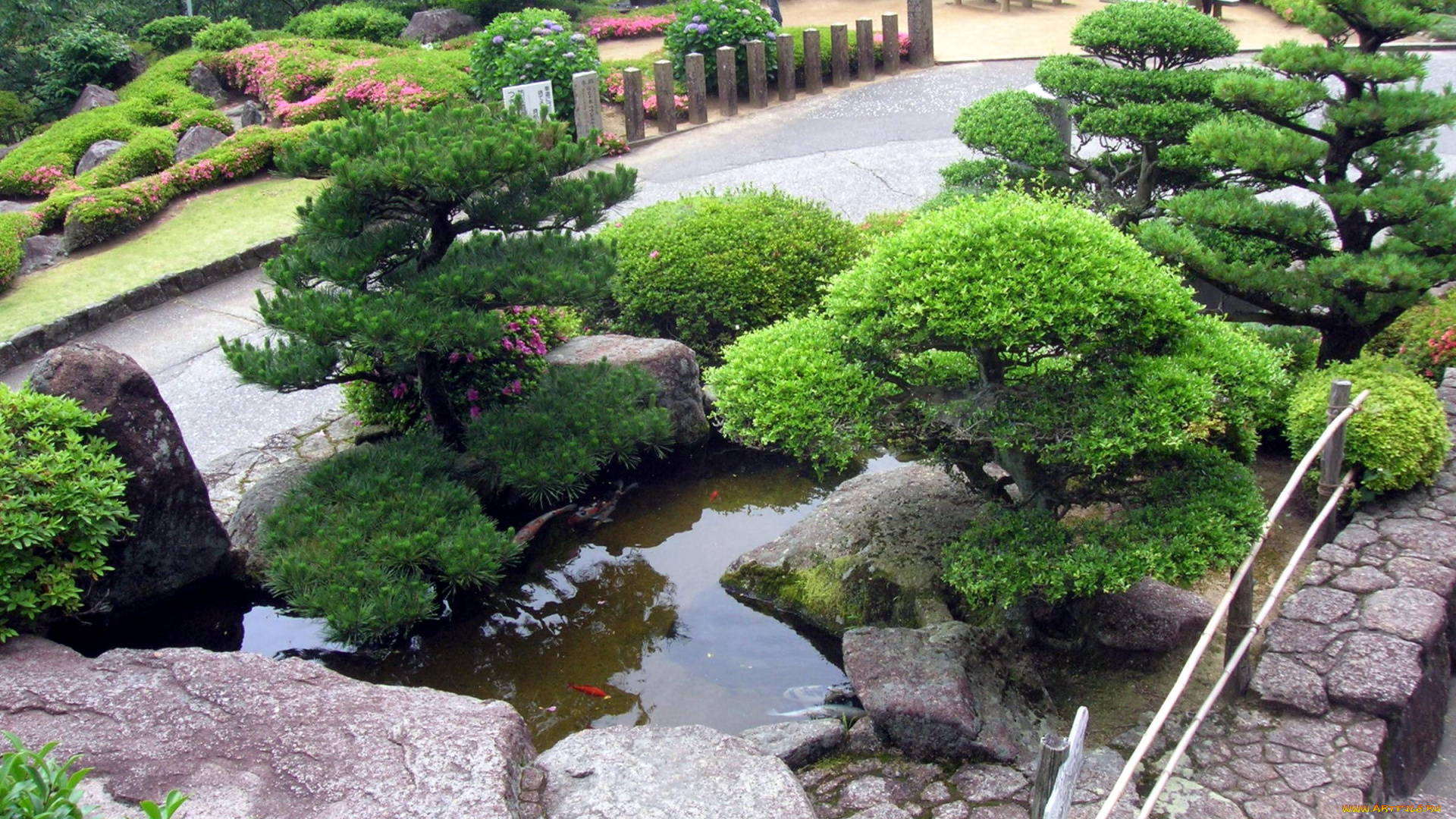 природа, парк, водоем, японский, садик