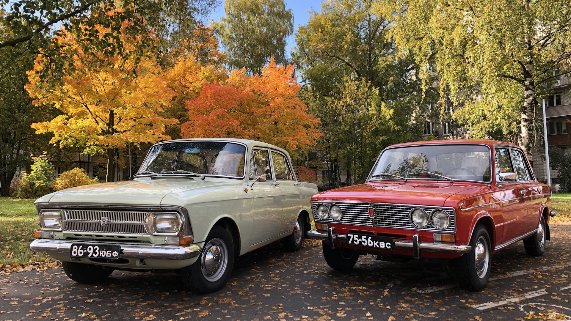 автомобили, разные, вместе, мoсквич, 412, жигули, лада