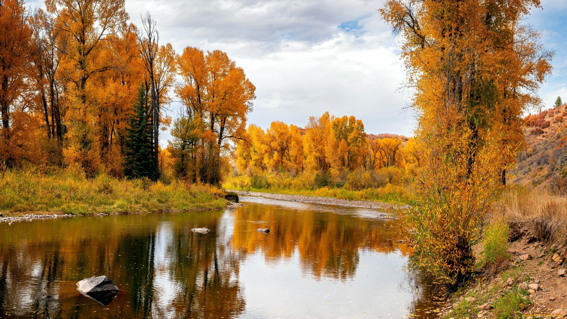 elk, river, clark, colorado, природа, реки, озера, elk, river