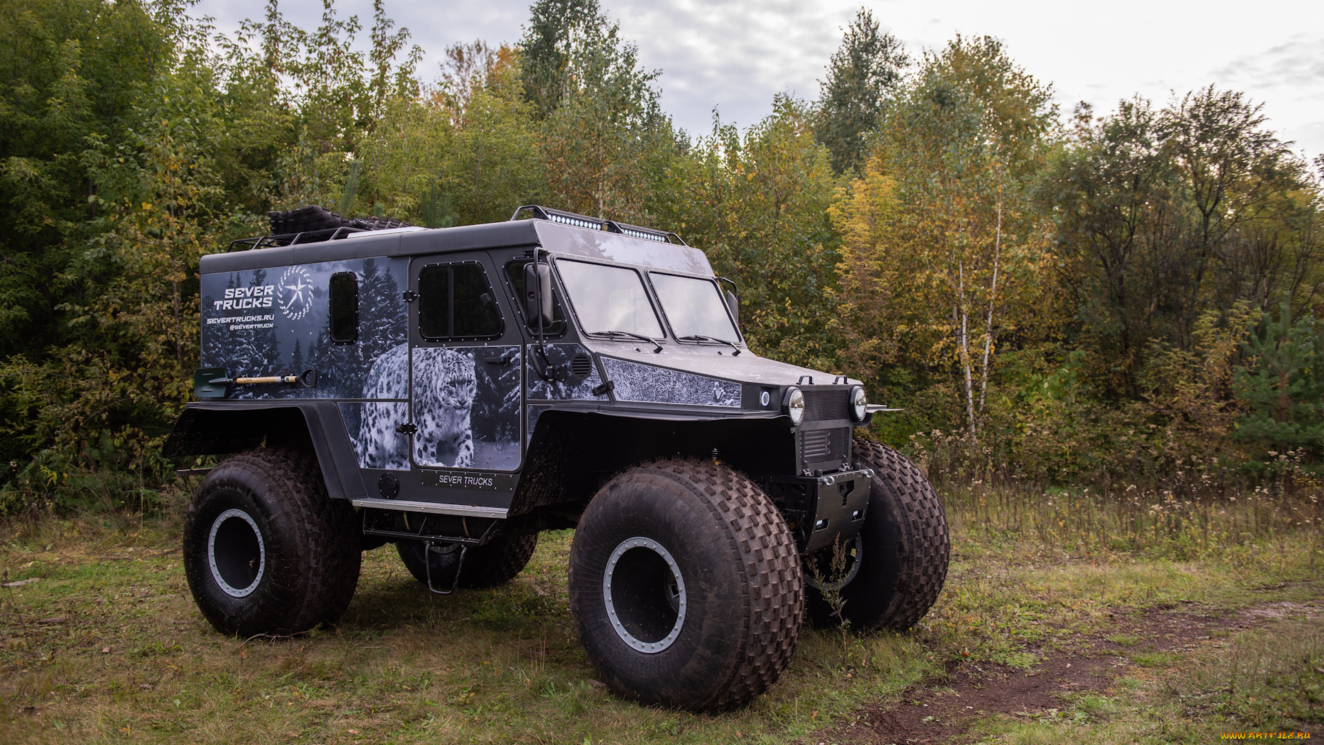 север, 3310, егерь, техника, вездеходы, ceвeр, 3310, eгерь, плавающий, снегоболотоход, лeс