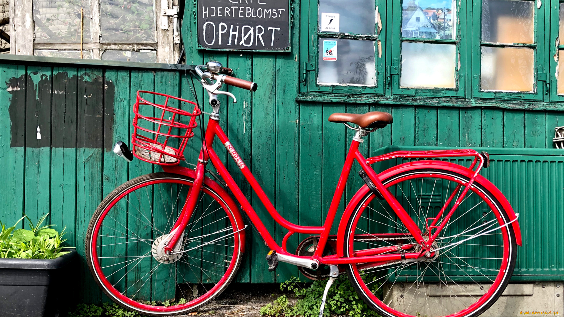 техника, велосипеды, велосипед