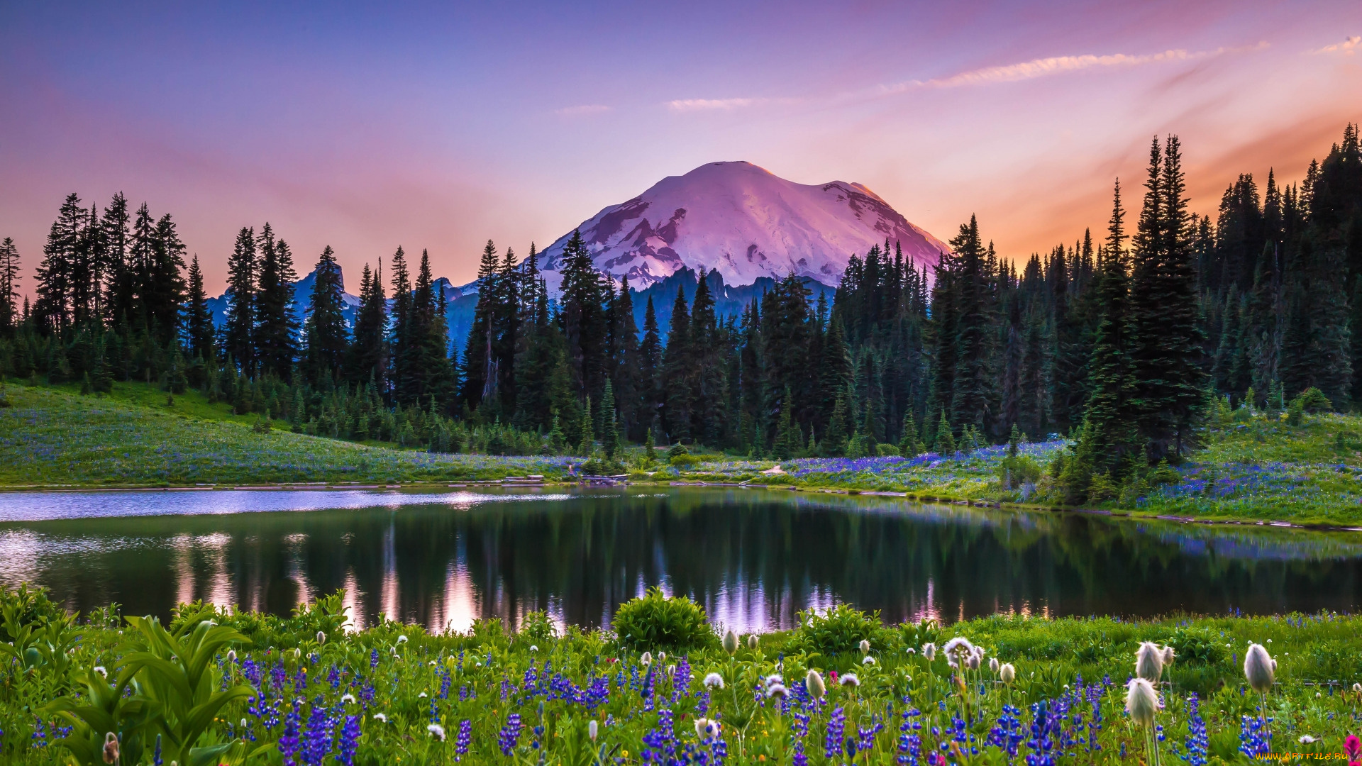 tipsoo, lake, mount, rainier, np, washington, природа, реки, озера, tipsoo, lake, mount, rainier, np