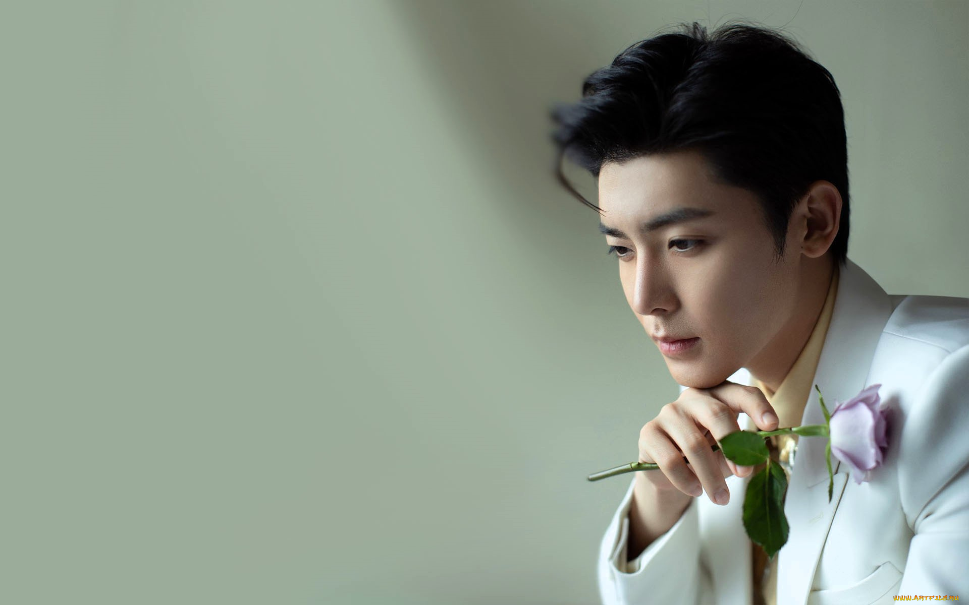 мужчины, hou, ming, hao, актер, пиджак, роза