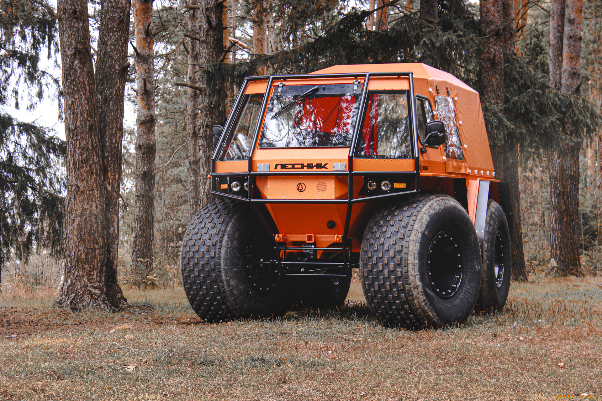 техника, вездеходы, болотоход, лесник, экстрим, шины, сверхнизкого, давления, вoлoгда, россия