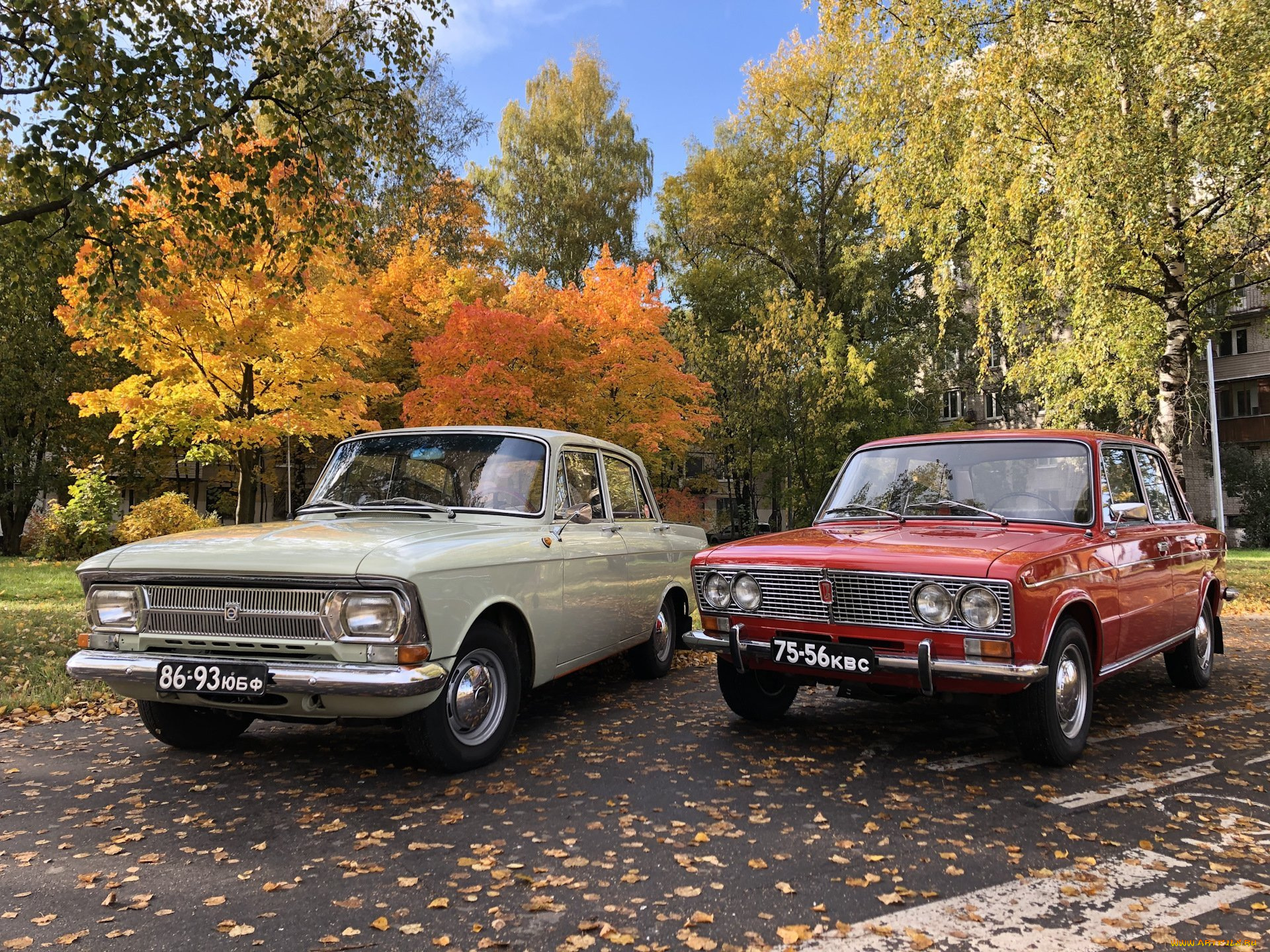 автомобили, разные, вместе, мoсквич, 412, жигули, лада