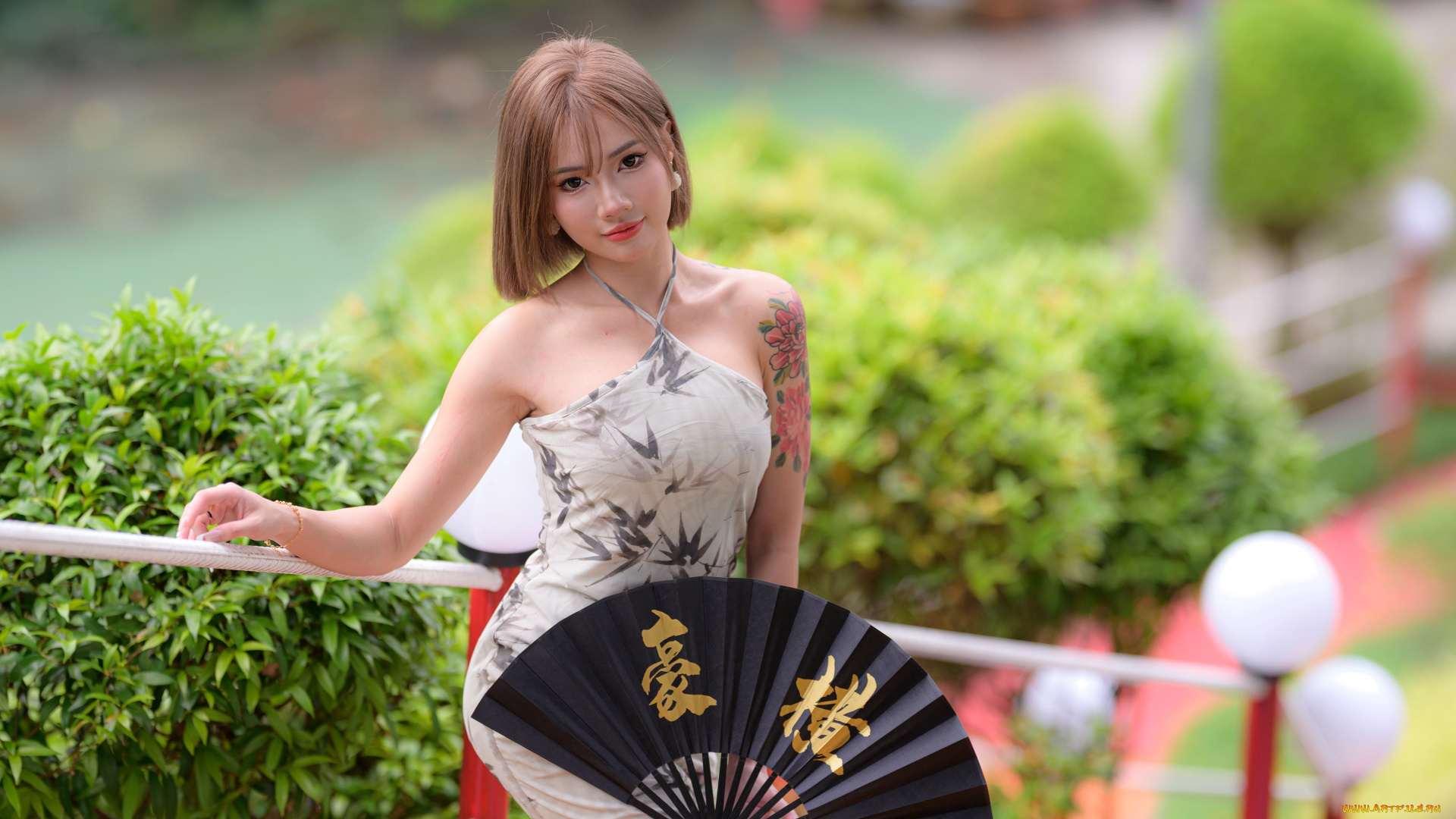 девушки, -, азиатки, девушка