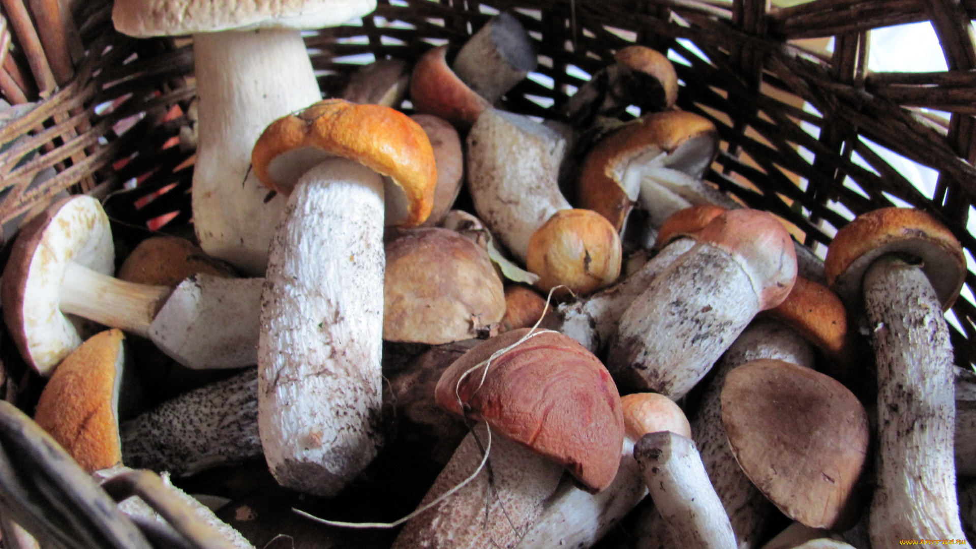 еда, грибы, , грибные, блюда, лесные, боровики, подосиновики