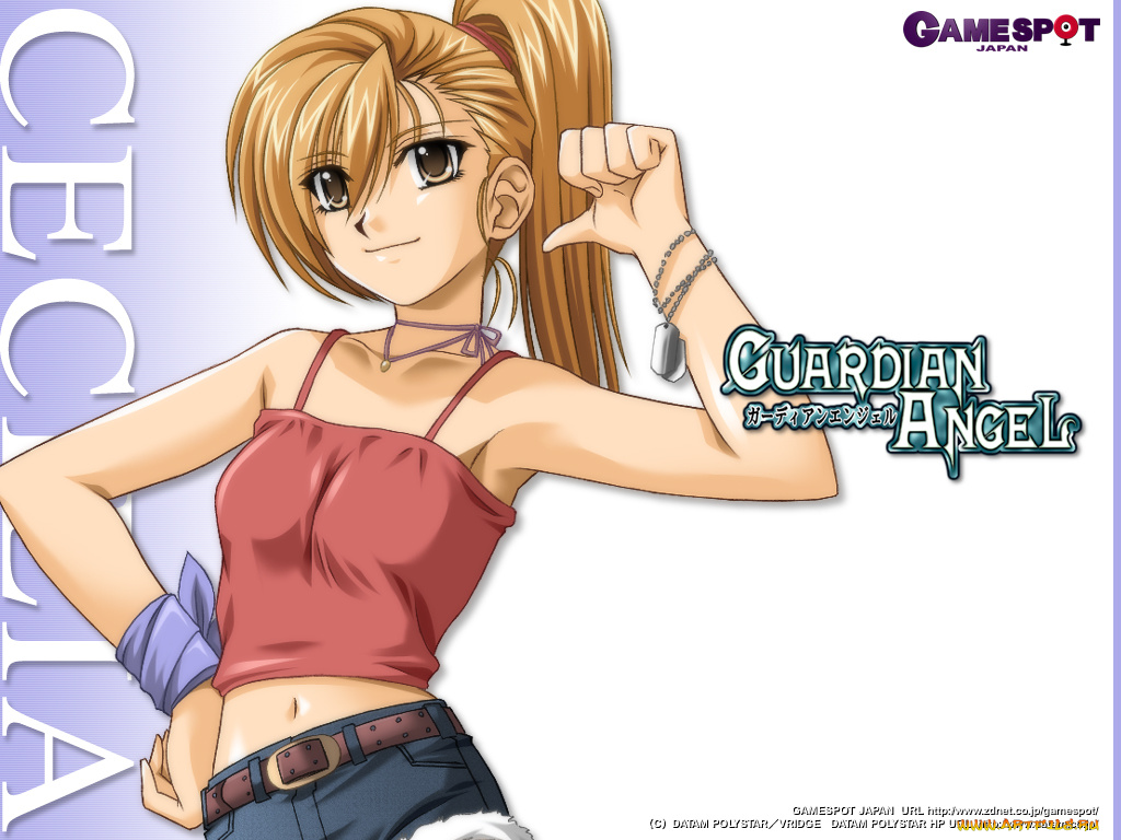 аниме, guardian, angel