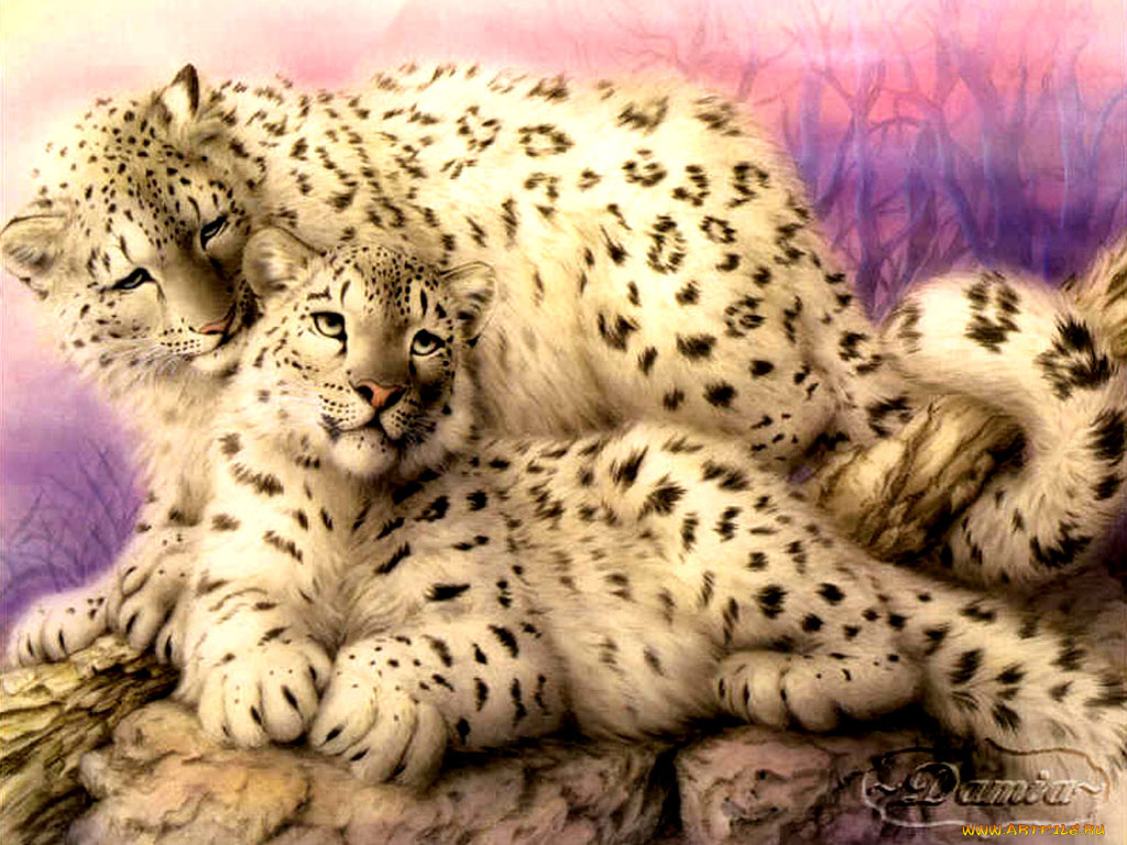 рисованные, животные, барсы