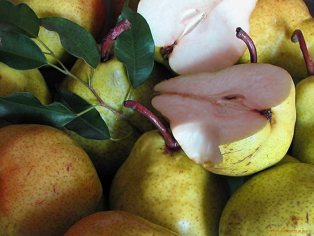 еда, груши