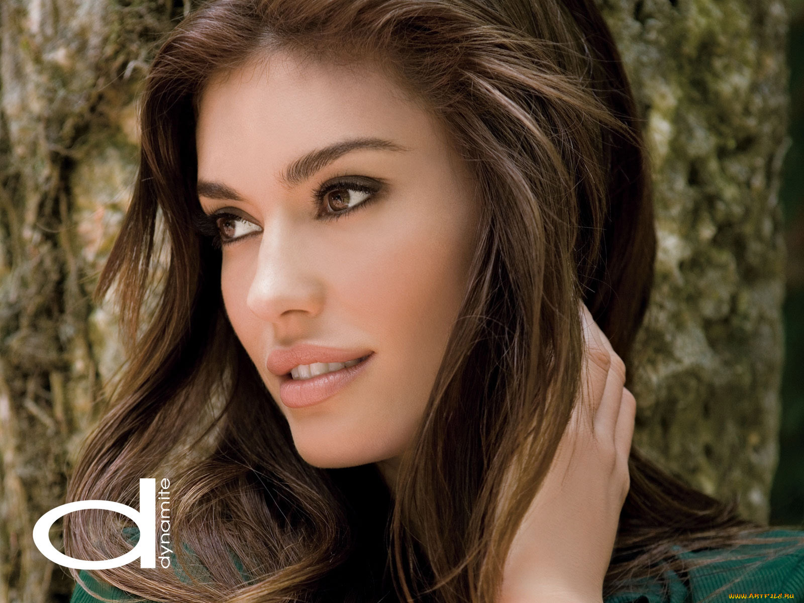 dynamite, бренды