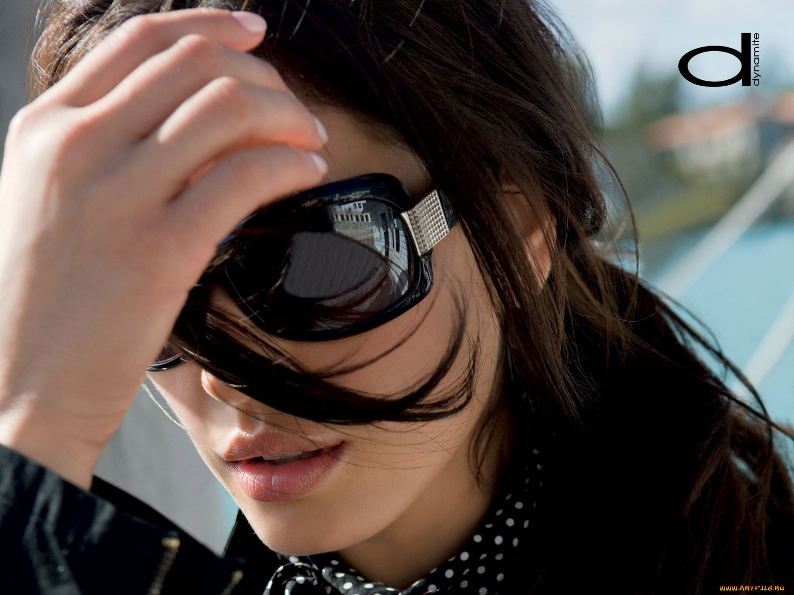 dynamite, бренды