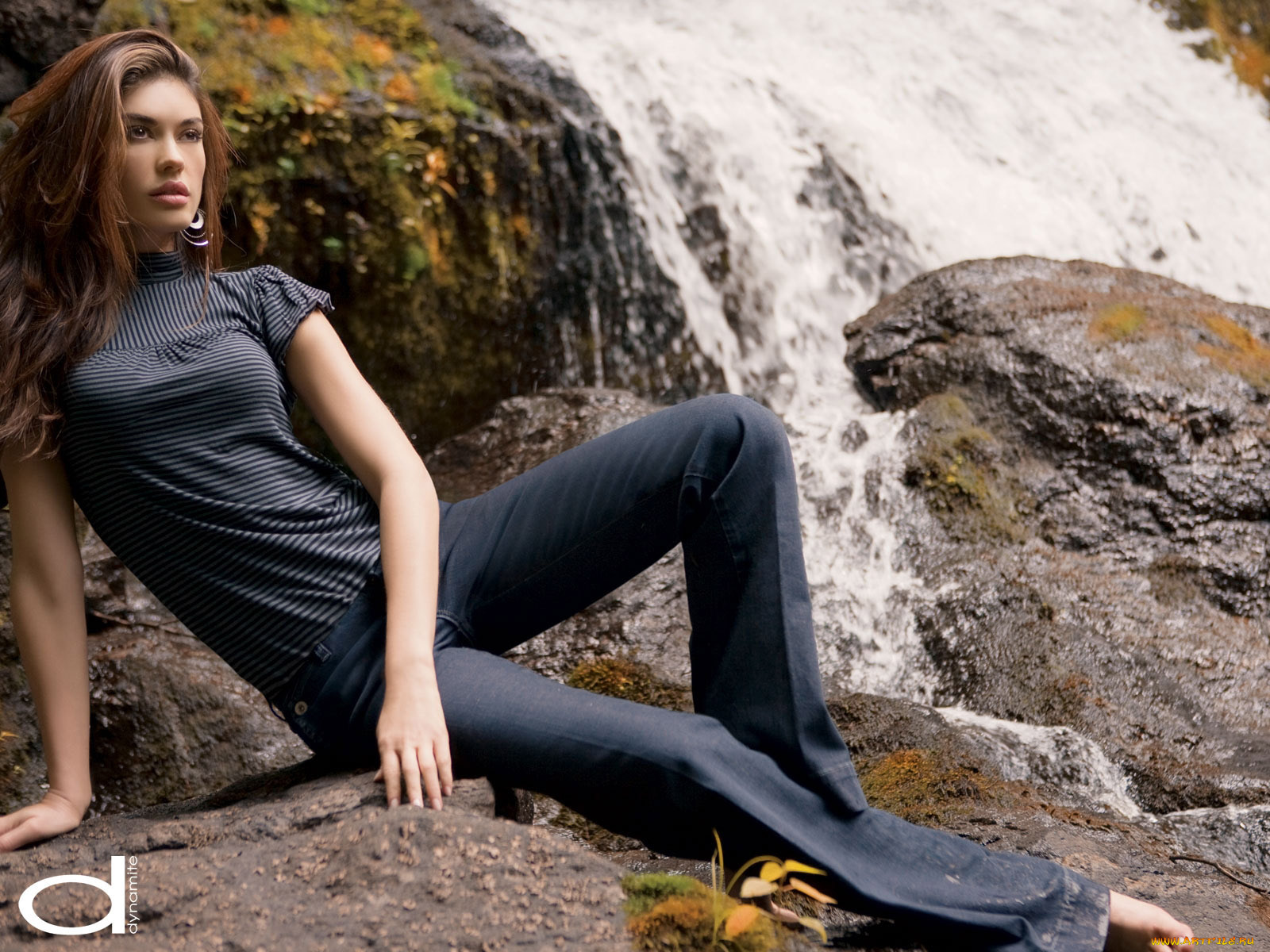 dynamite, бренды