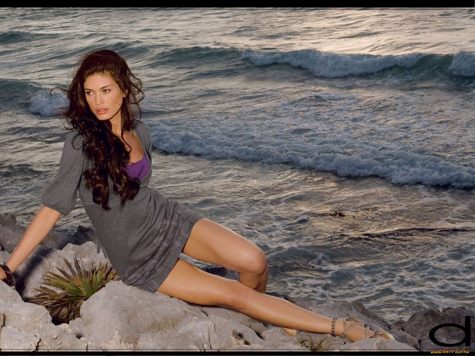 dynamite, бренды