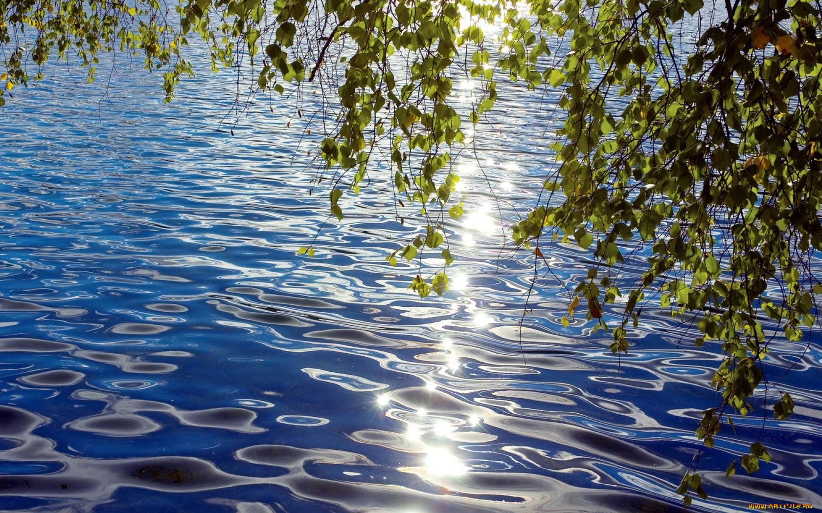 природа, реки, озера