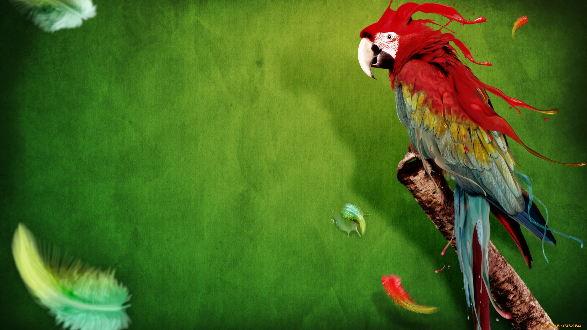 животные, попугаи