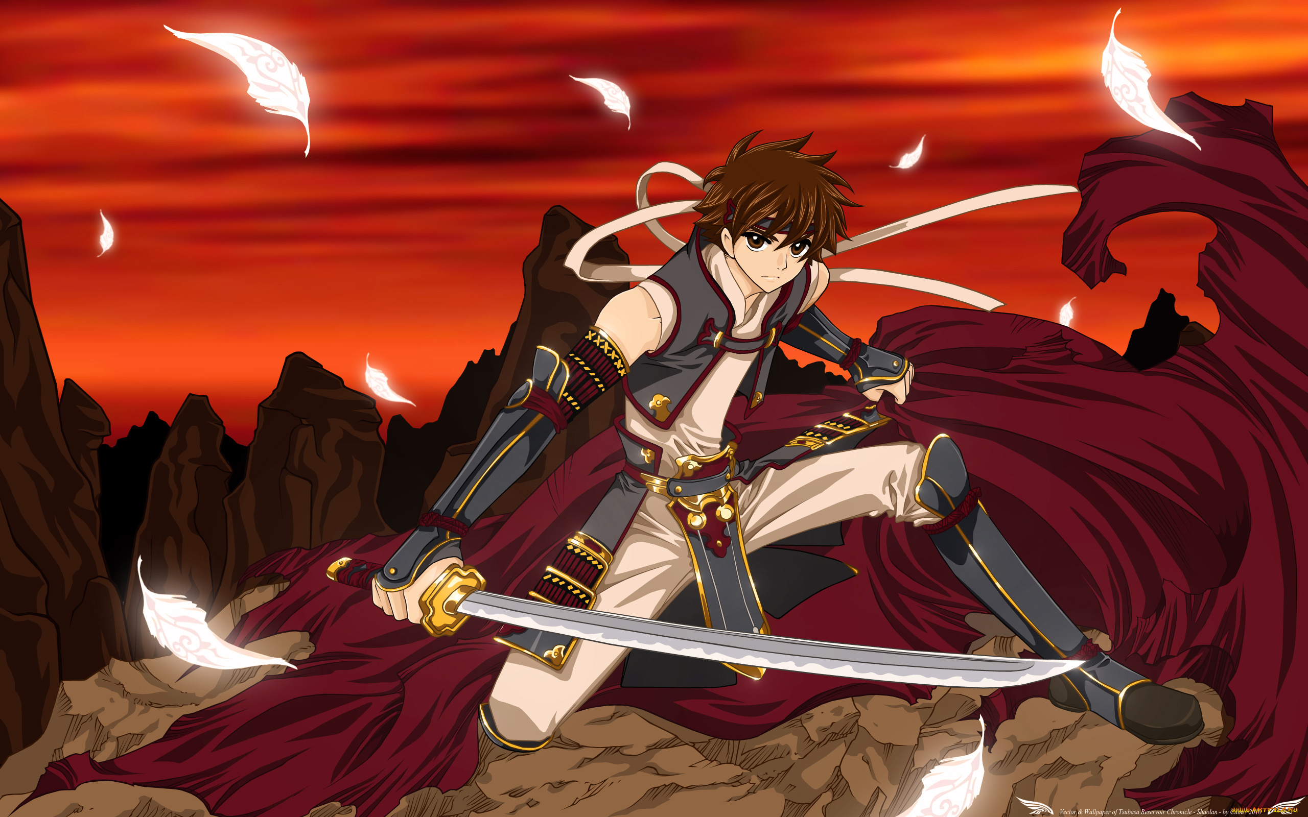 аниме, tsubasa, reservoir, chronicles