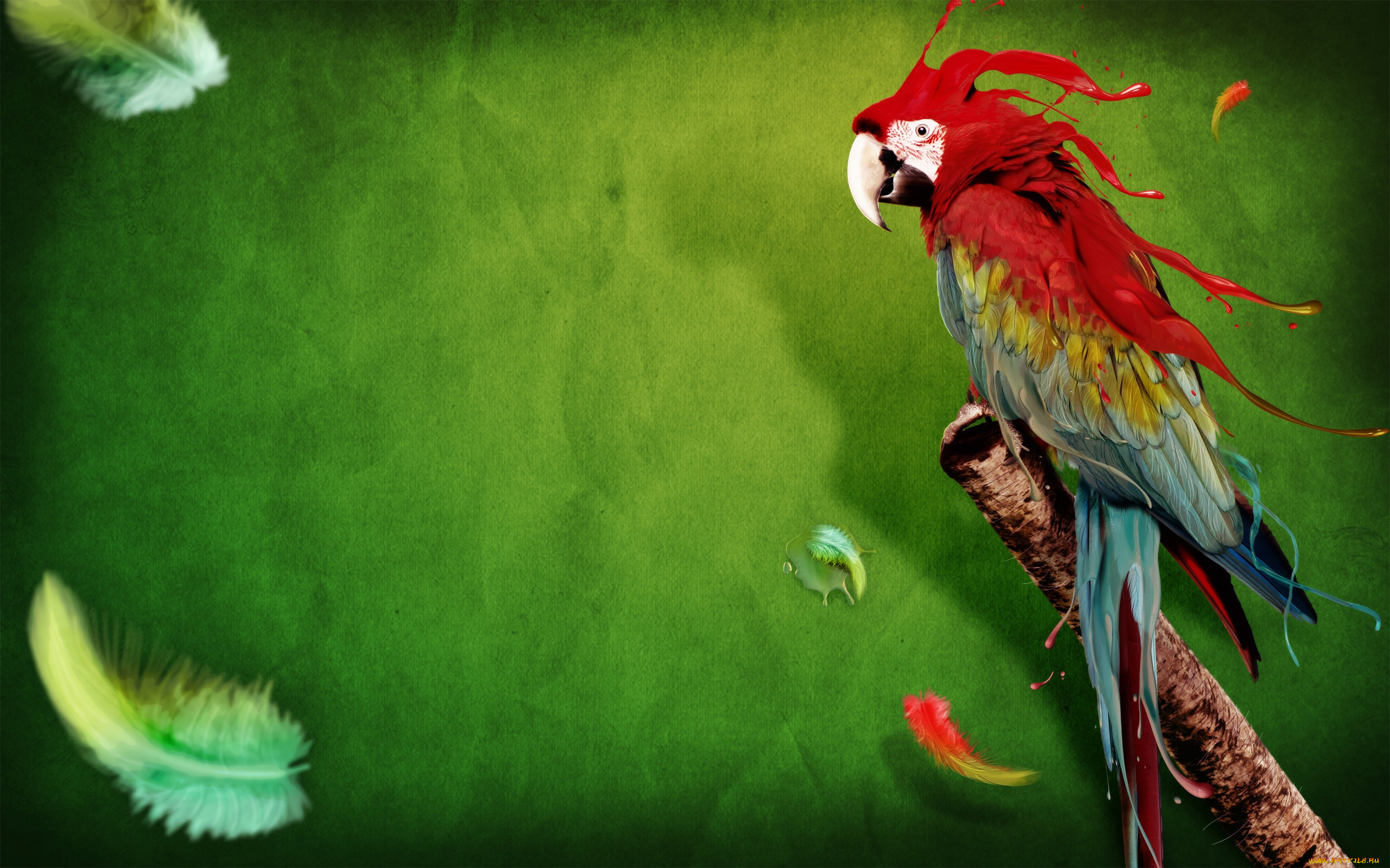 животные, попугаи