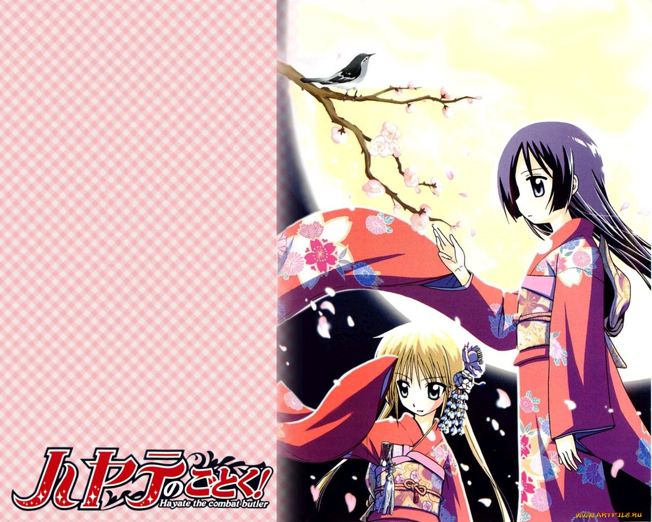 hayate, the, combat, butler, аниме, no, gotoku