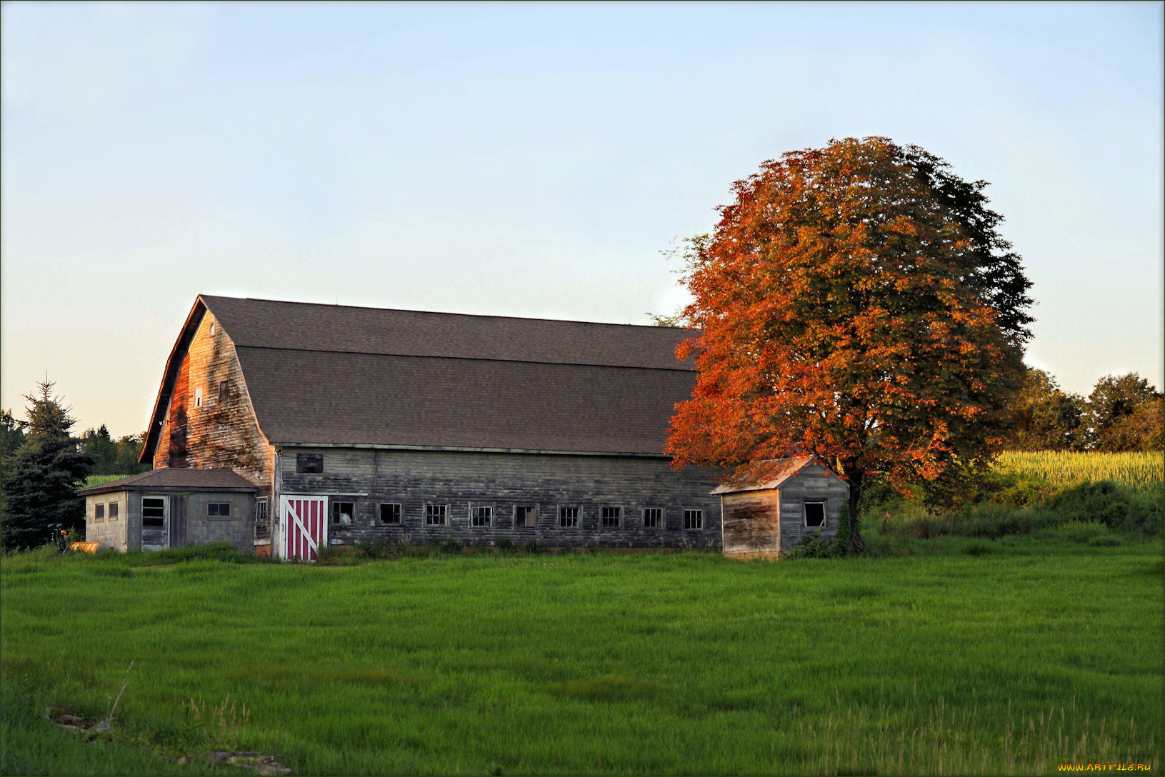 разное, сооружения, постройки, дом, дерево