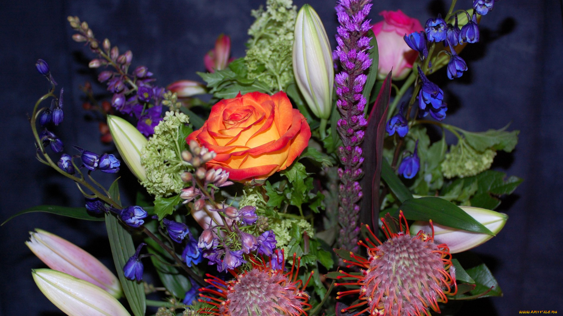 цветы, букеты, композиции, лилия, дельфиниум, роза, протея