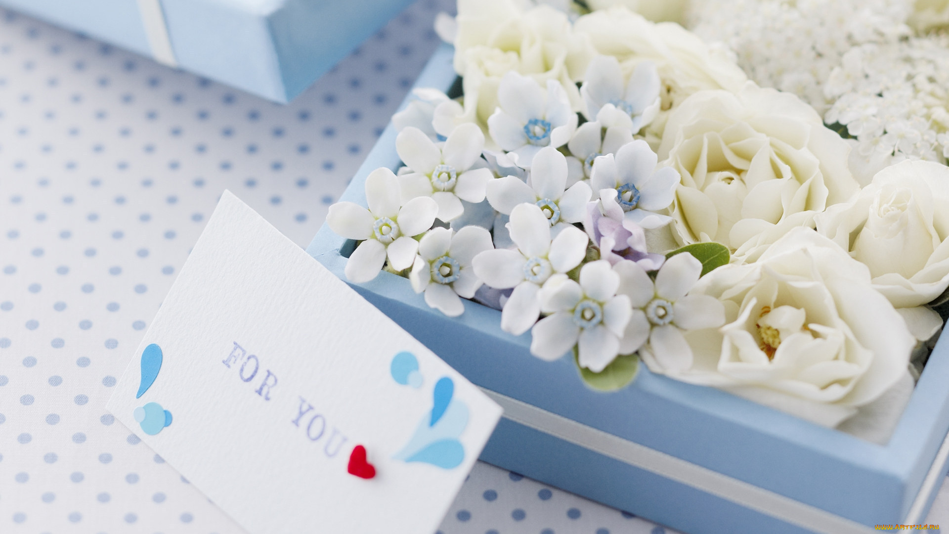 цветы, разные, вместе, записка, коробка, розы