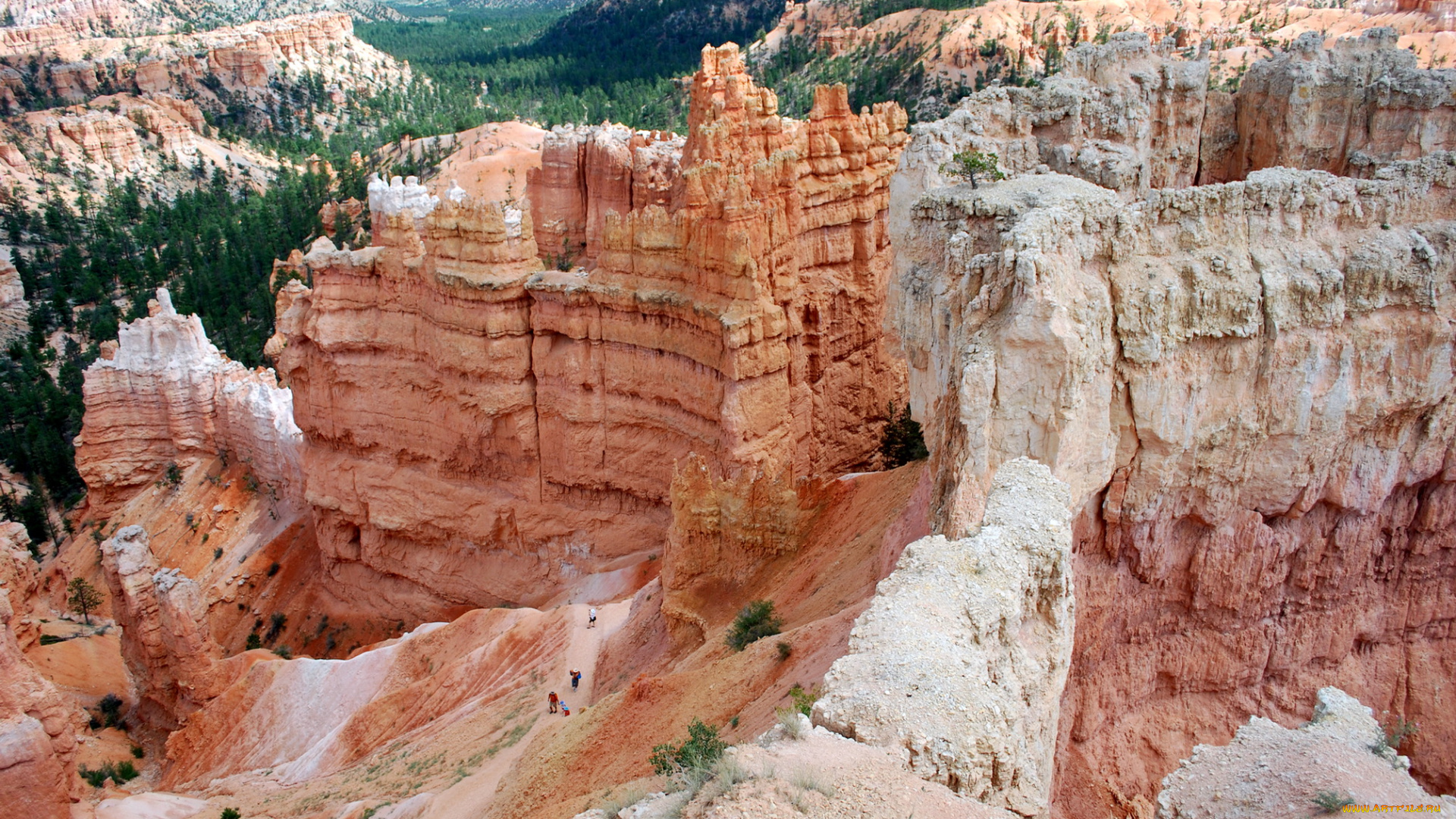 природа, горы, utah, usa, bryce, canyon, national, park