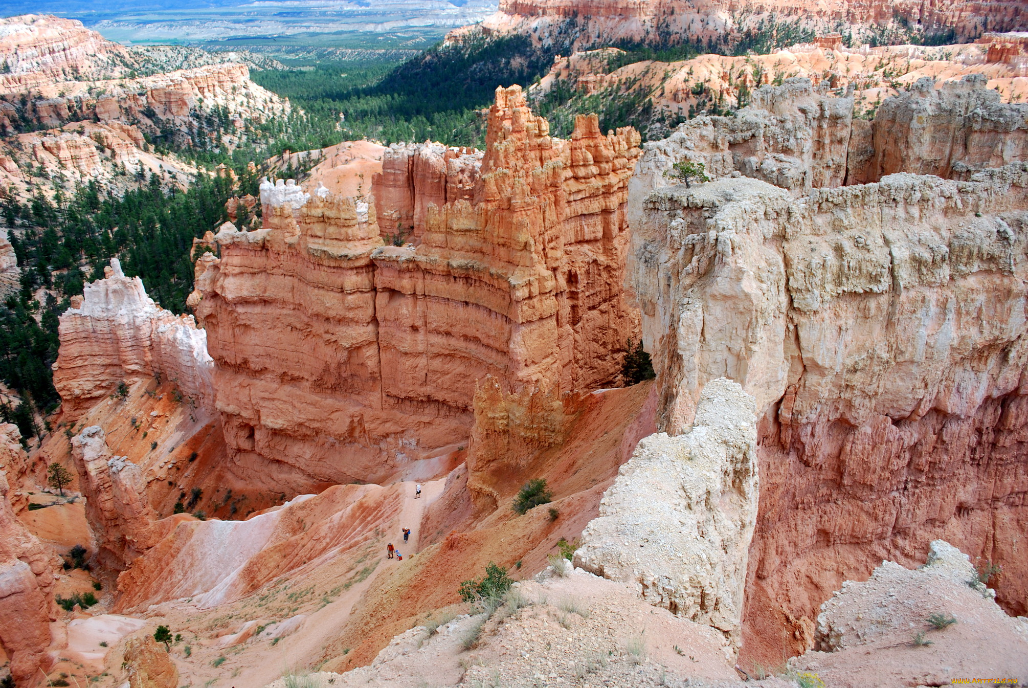 природа, горы, utah, usa, bryce, canyon, national, park