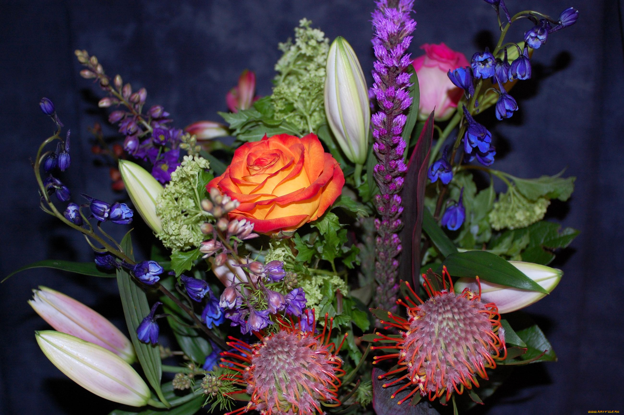 цветы, букеты, композиции, лилия, дельфиниум, роза, протея