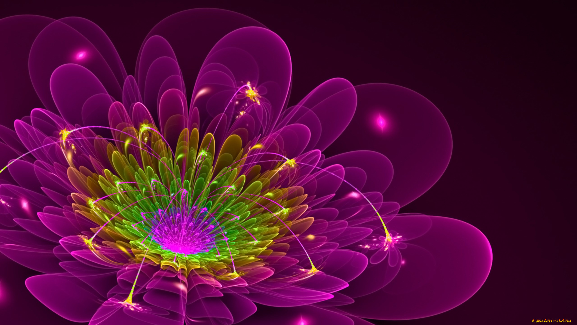 3д, графика, flowers, цветы, лепестки