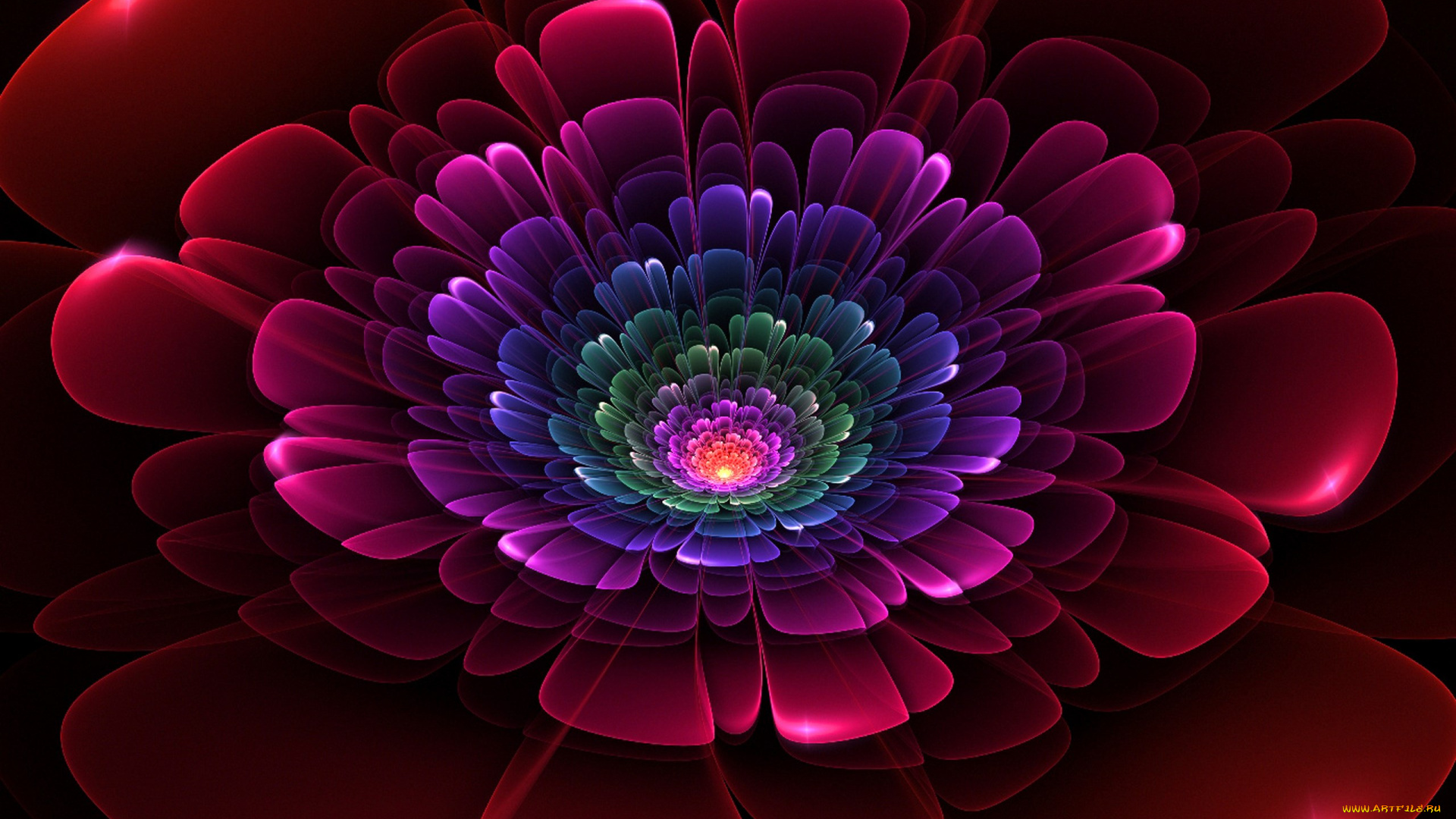 3д, графика, flowers, цветы, лепестки