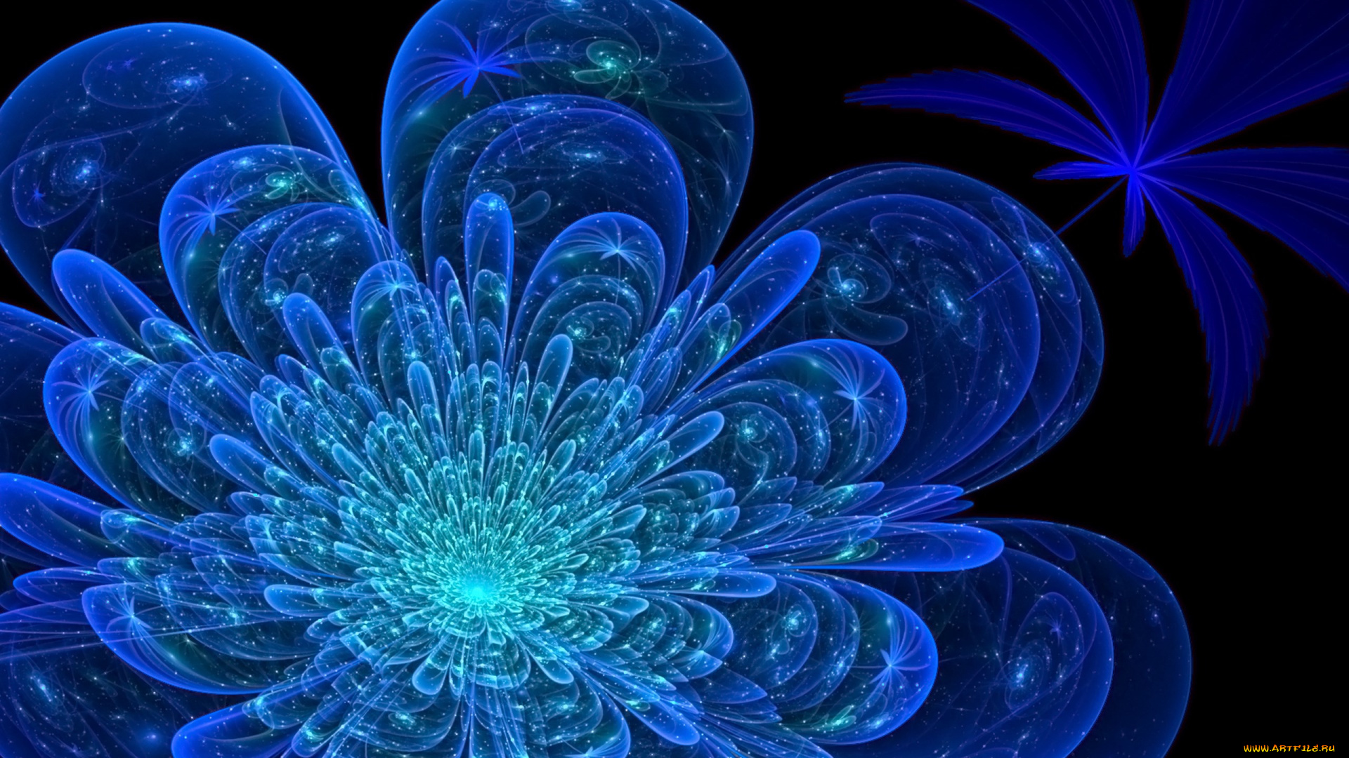 3д, графика, flowers, цветы, лепестки