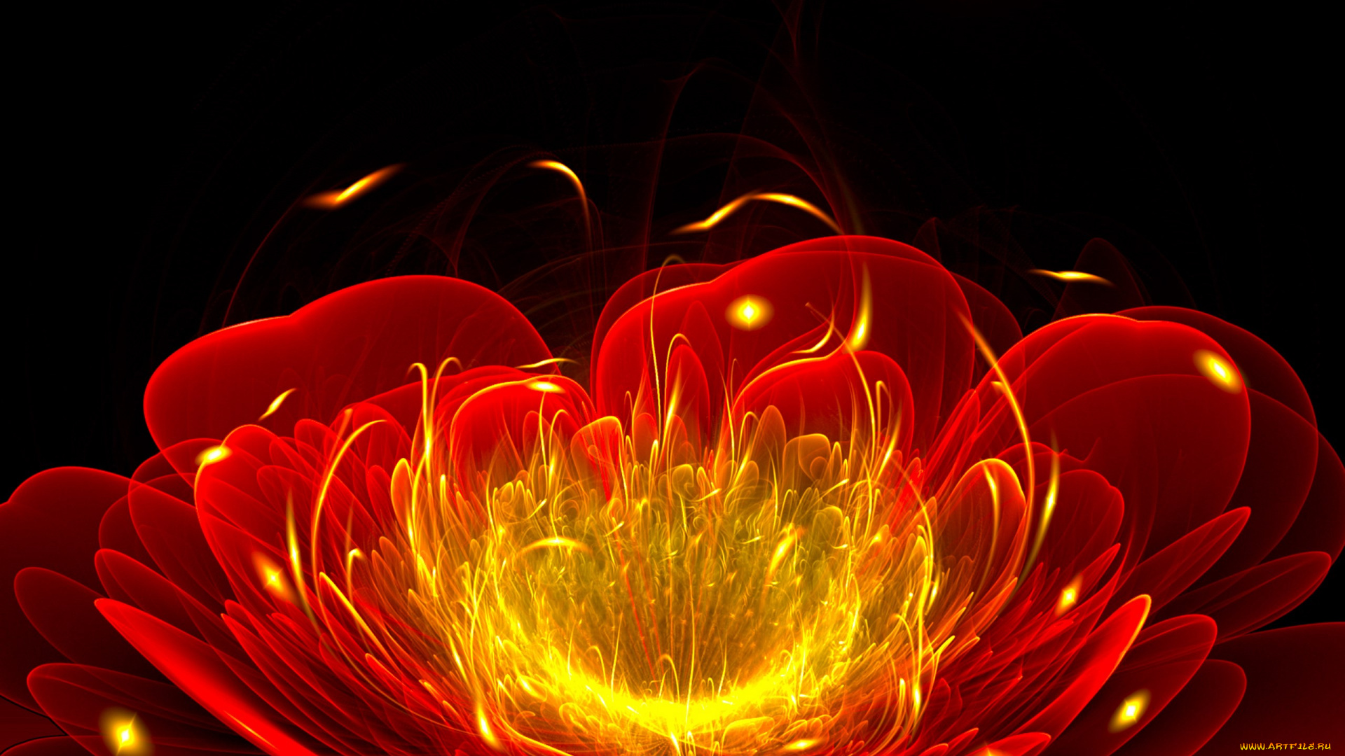 3д, графика, flowers, цветы, лепестки