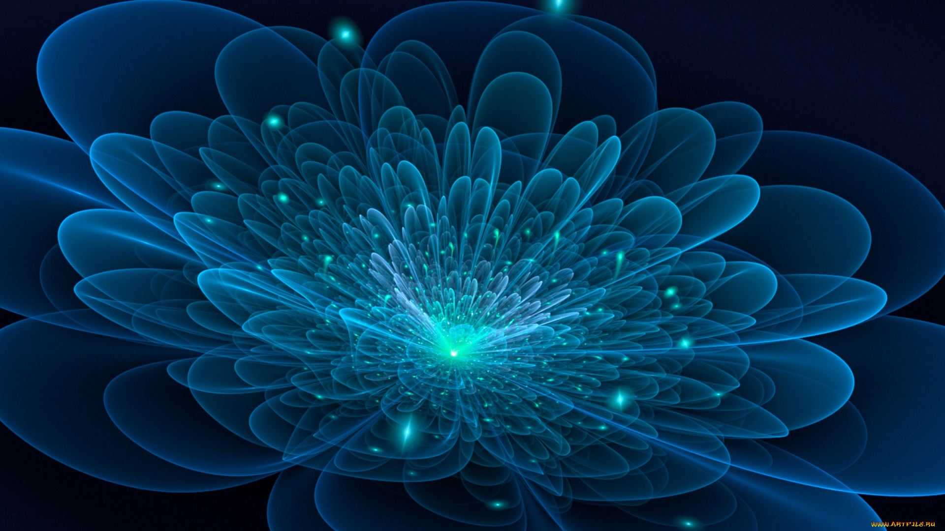 3д, графика, flowers, цветы, лепестки