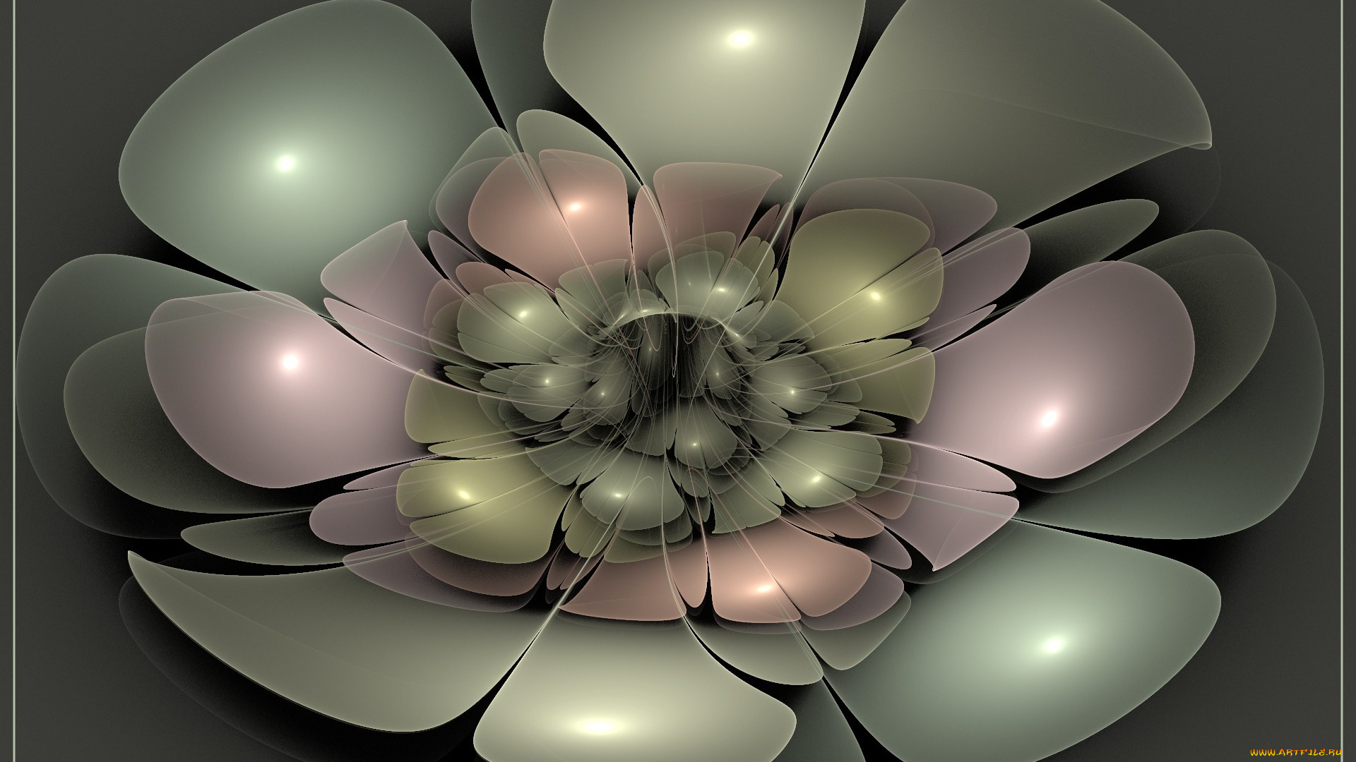 3д, графика, flowers, цветы, лепестки