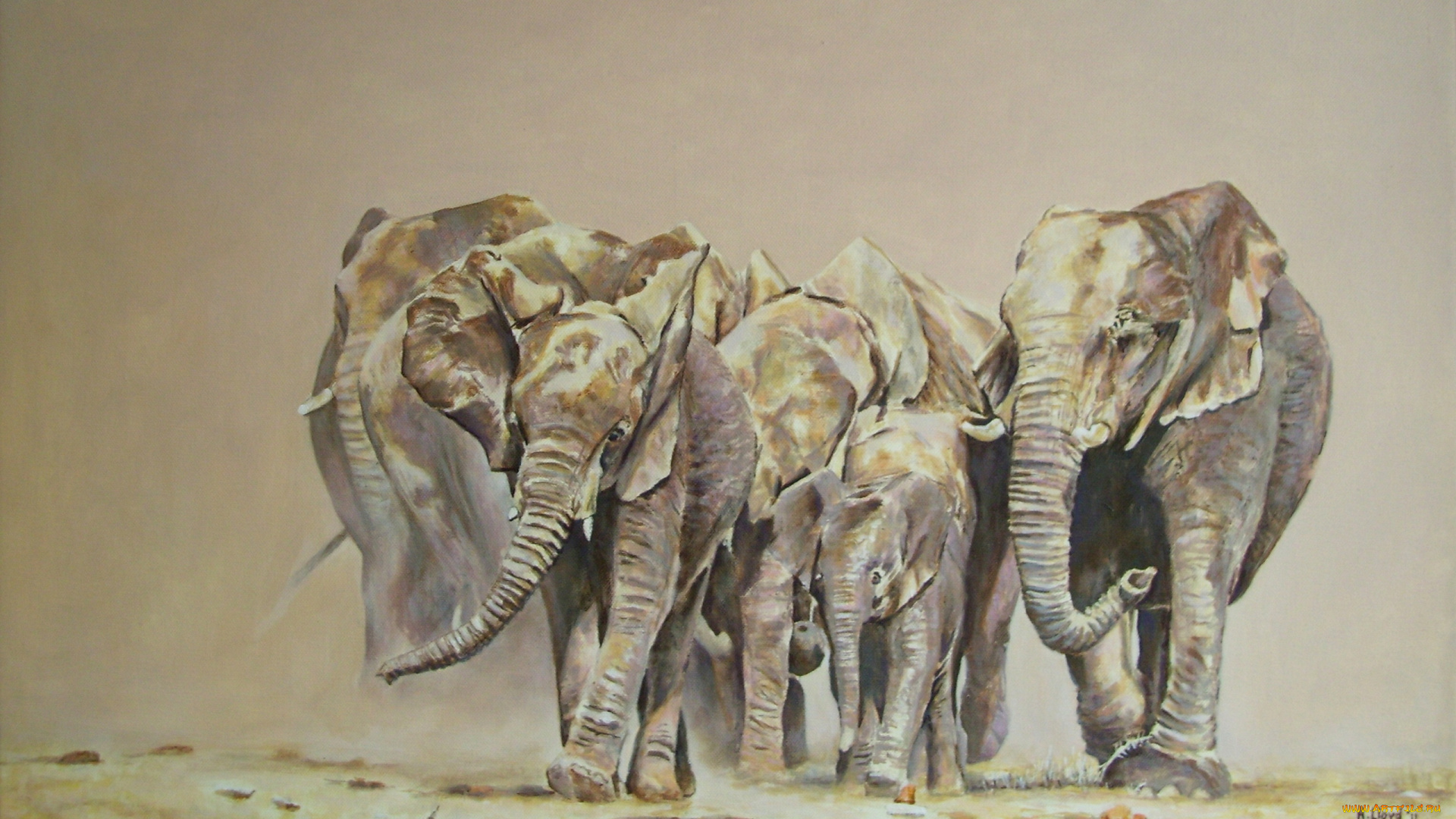 andy, lloyd, elephants, emerging, рисованные, слоны