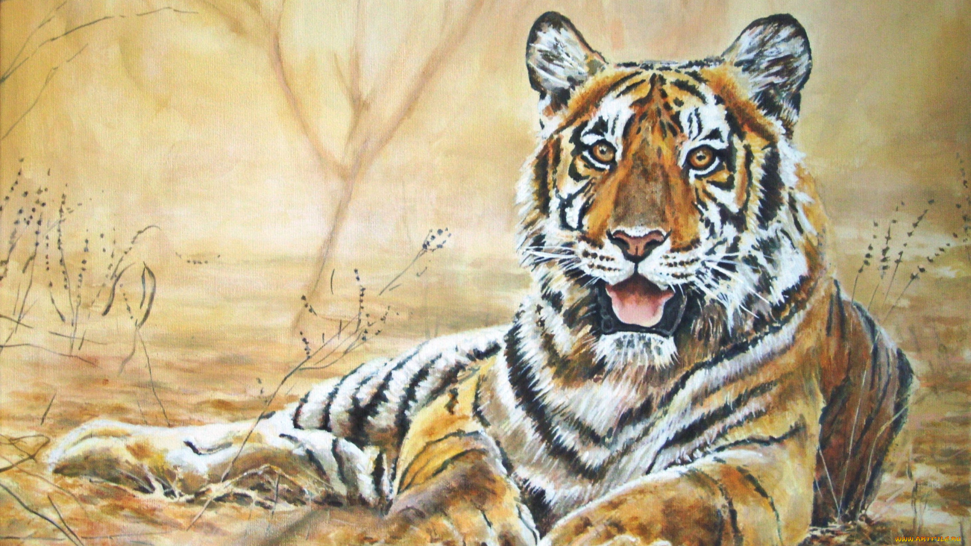 andy, lloyd, indian, tiger, рисованные, тигр