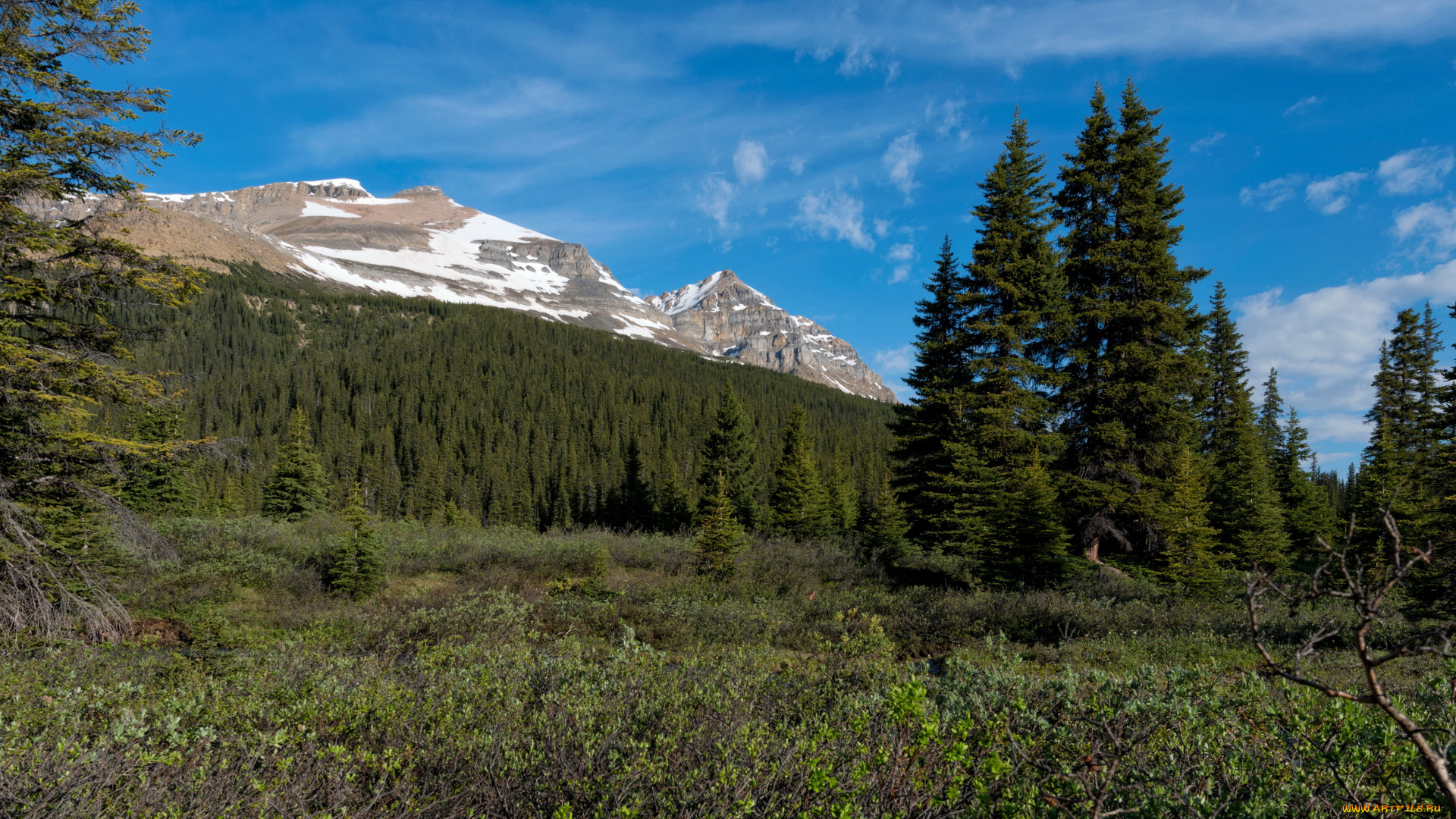 banff, national, park, природа, горы, лес